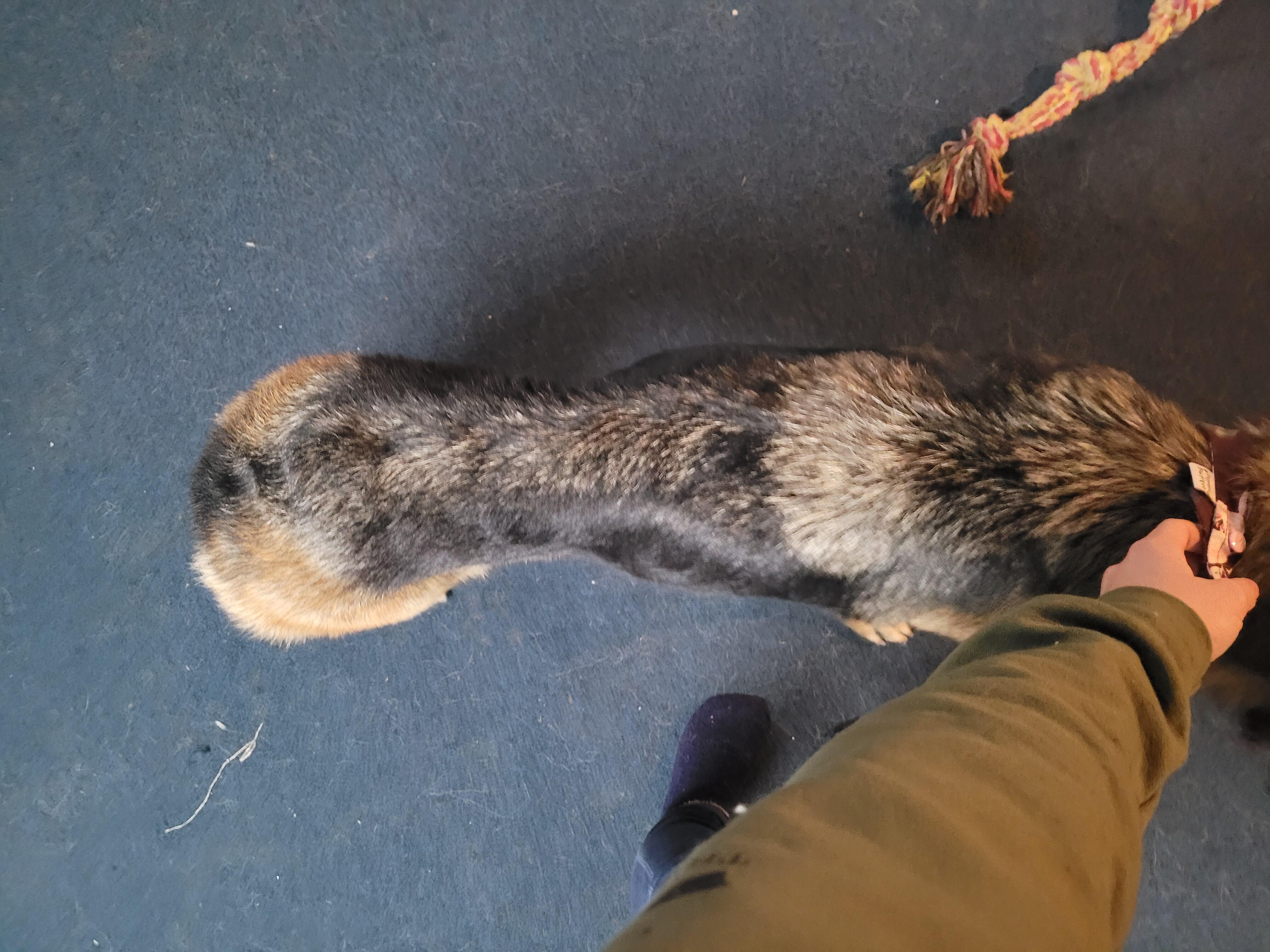 Question details sensitive content