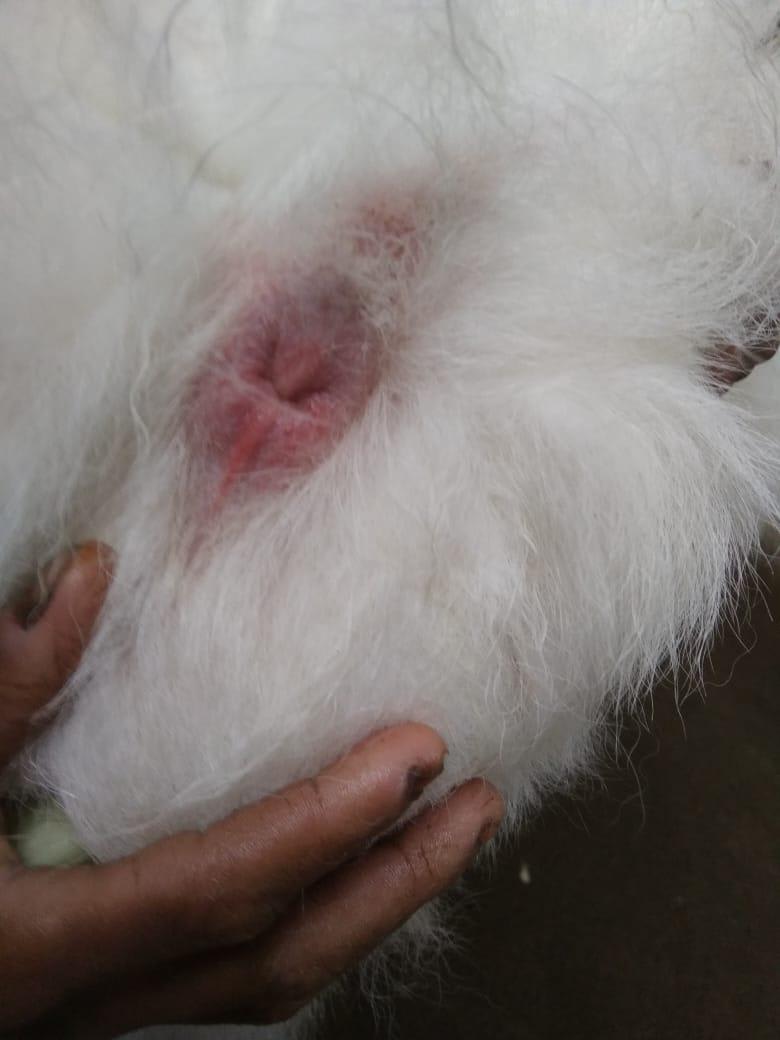 Question details sensitive content