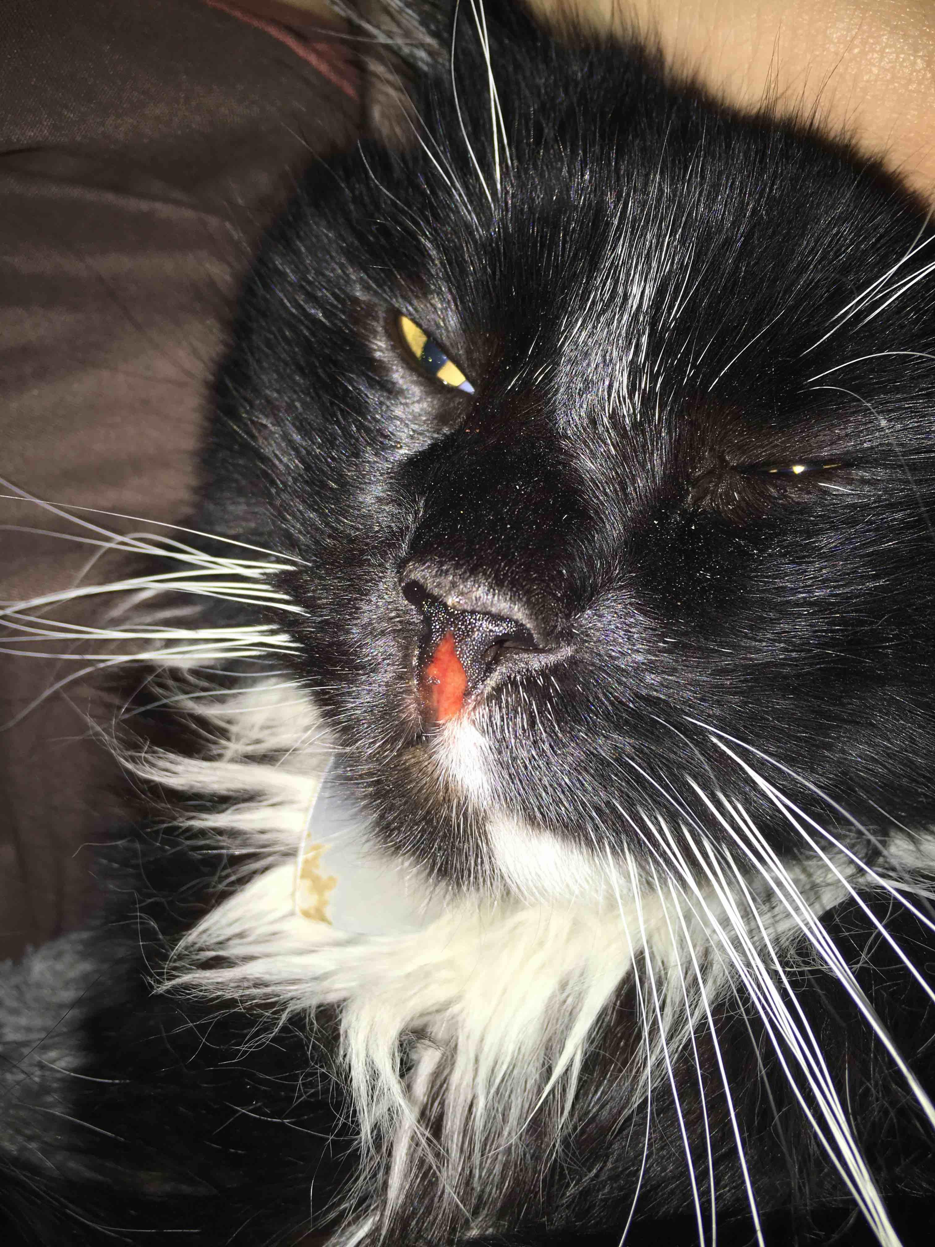 Question details sensitive content