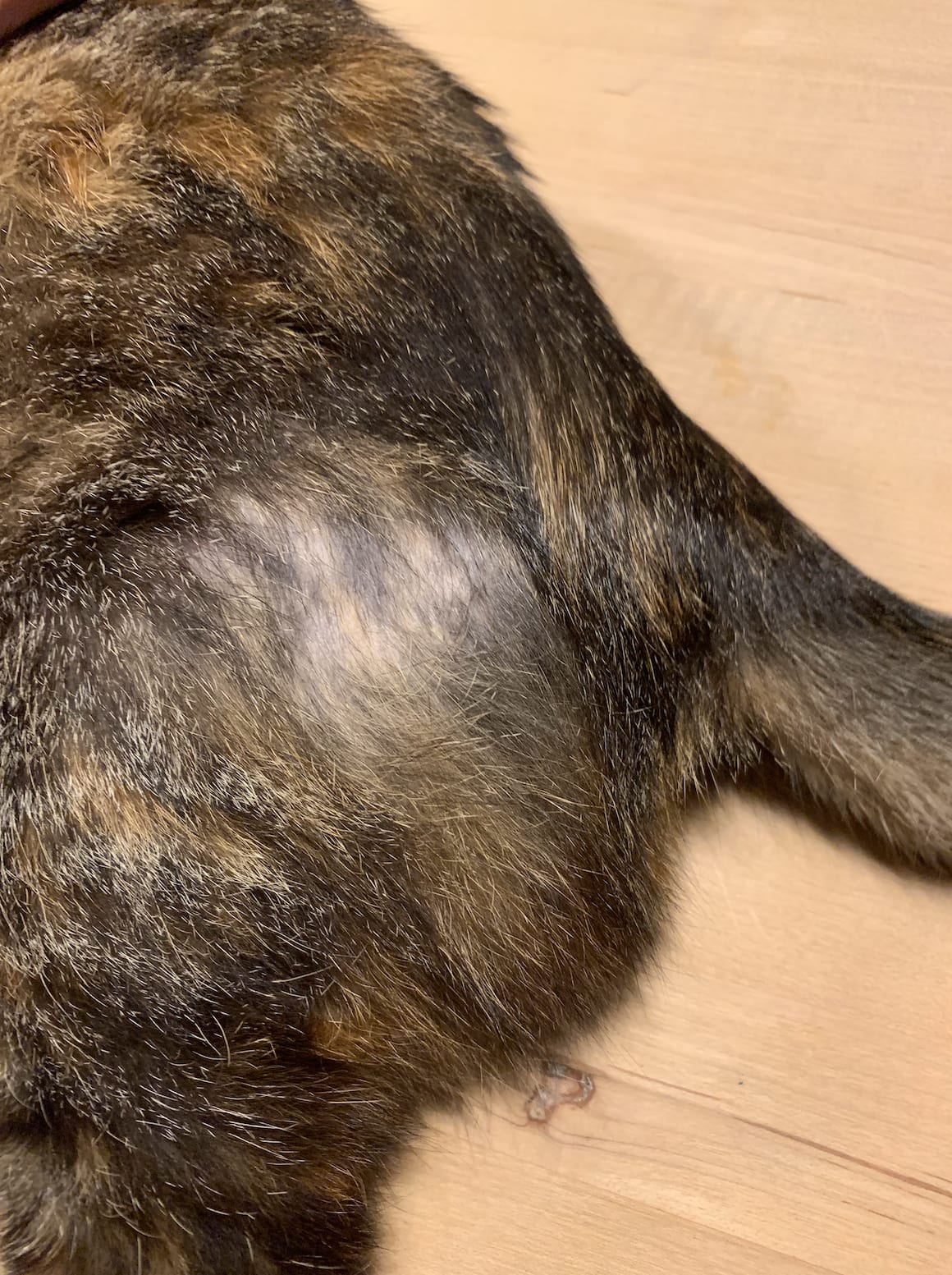 Question details sensitive content