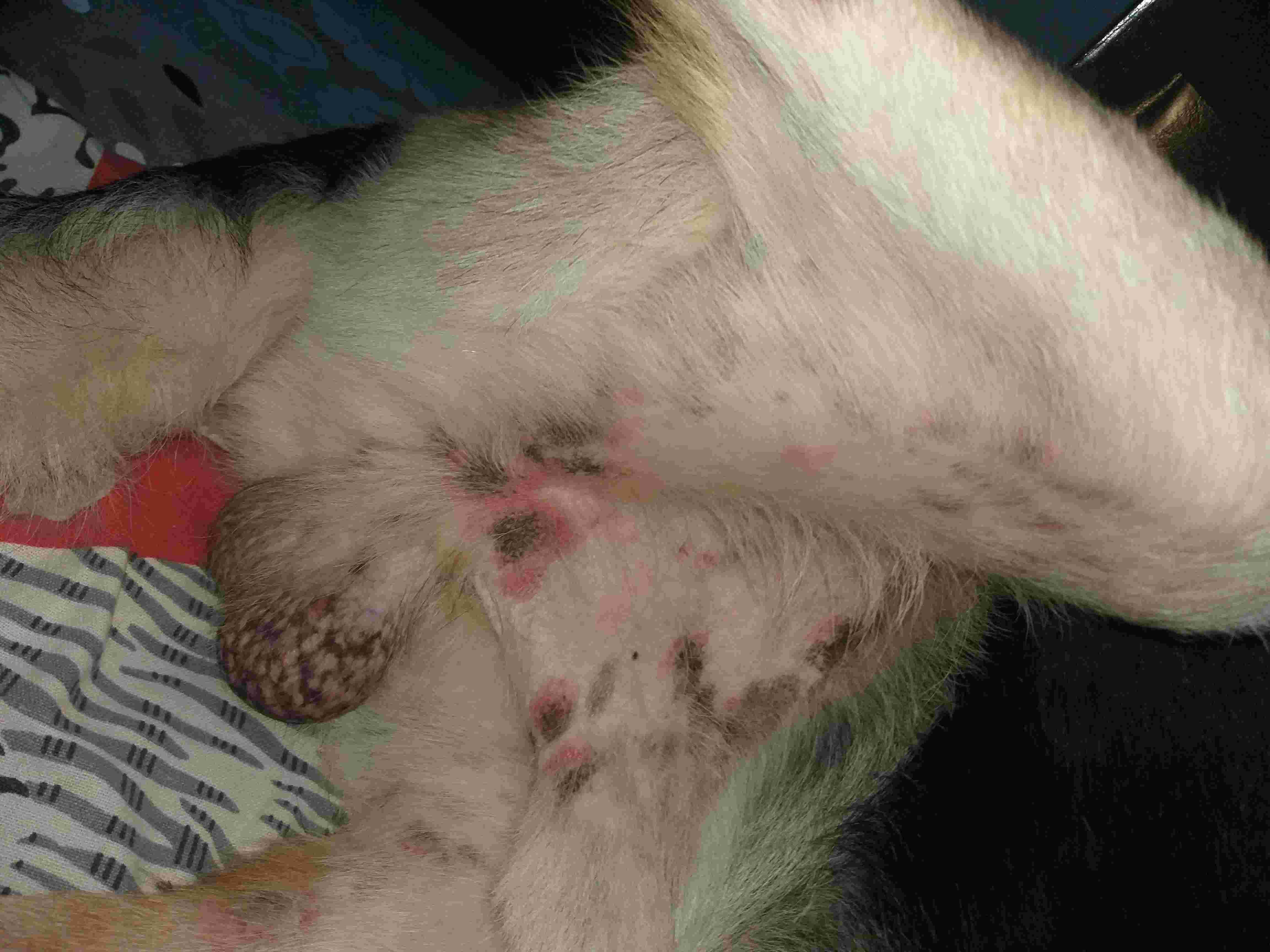 Question details sensitive content