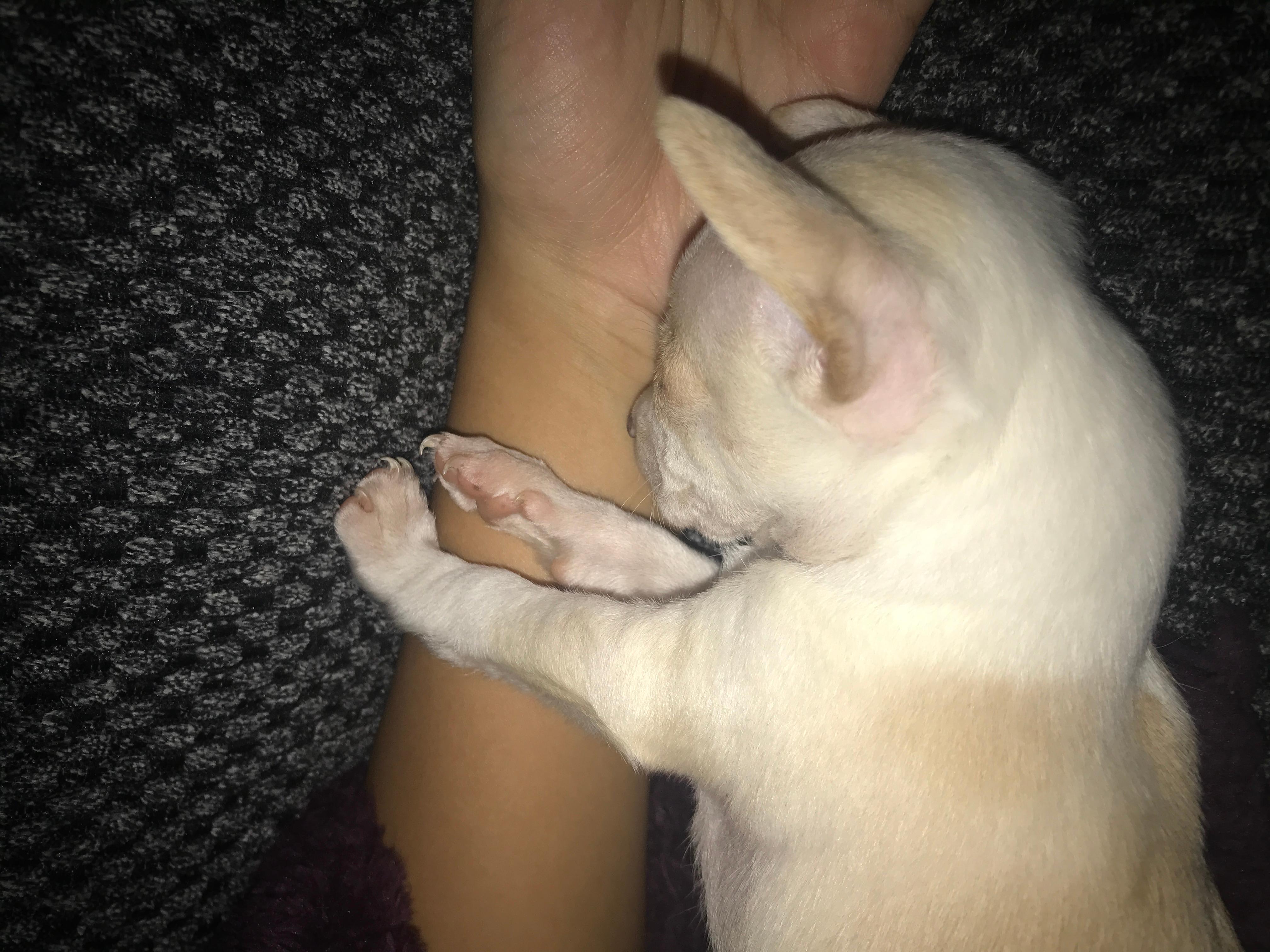 Question details sensitive content