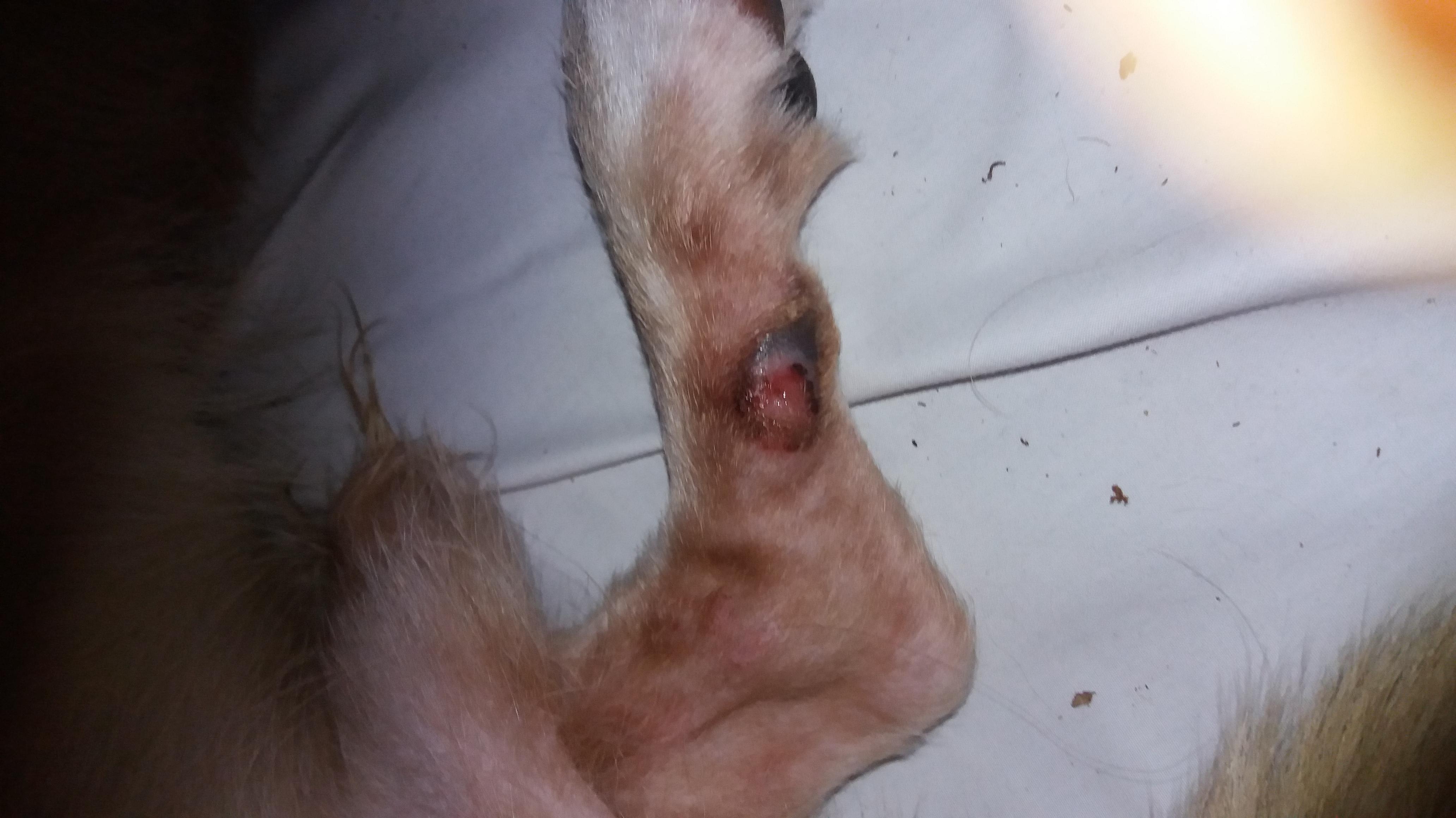 Question details sensitive content