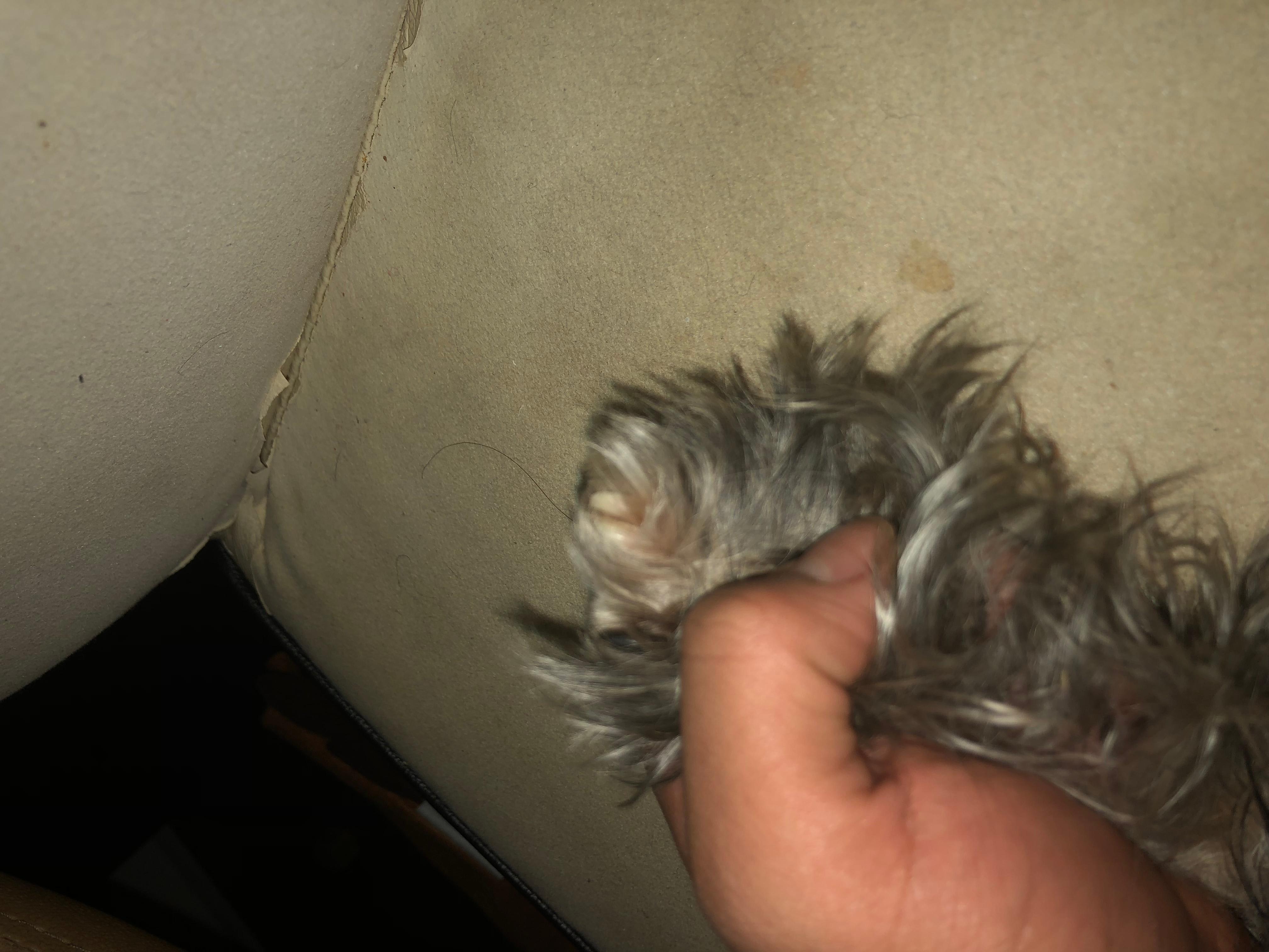 Question details sensitive content