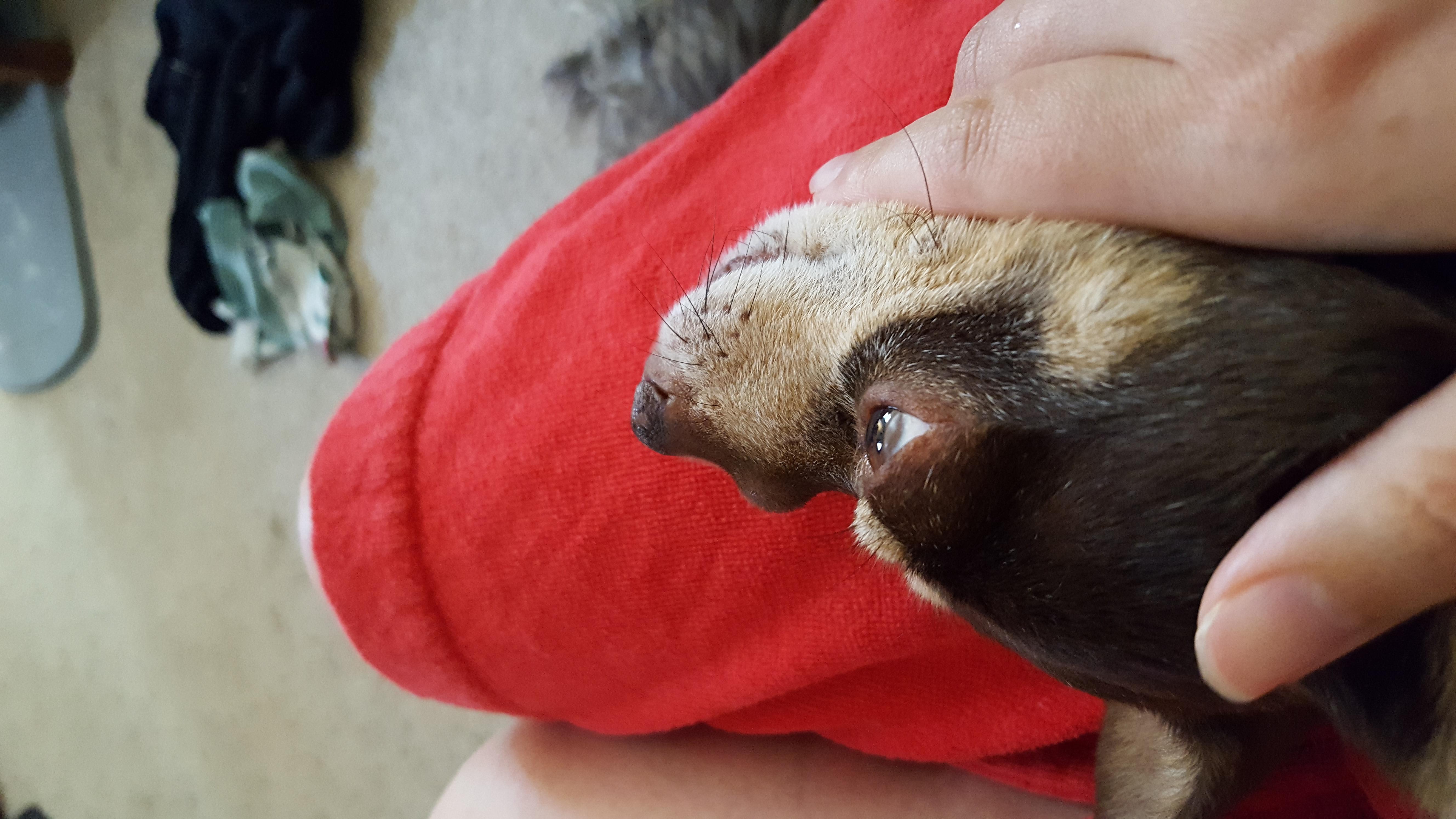 Question details sensitive content