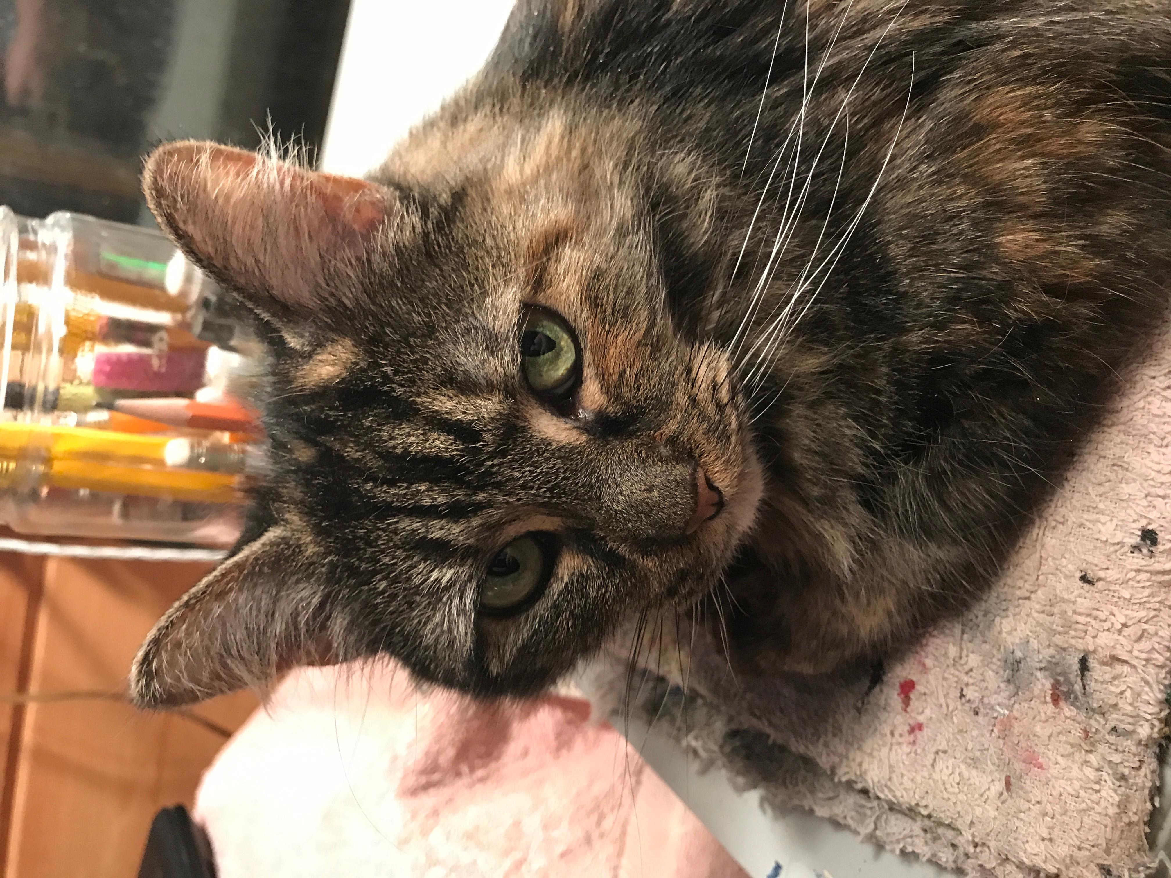 Question details sensitive content