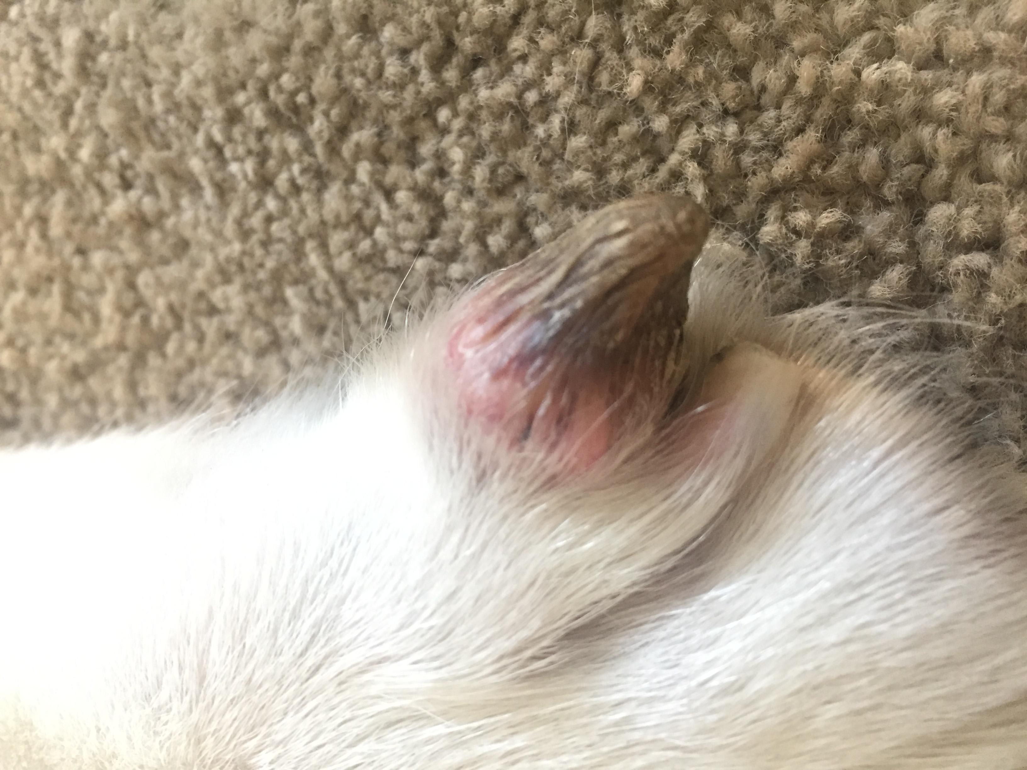 Question details sensitive content