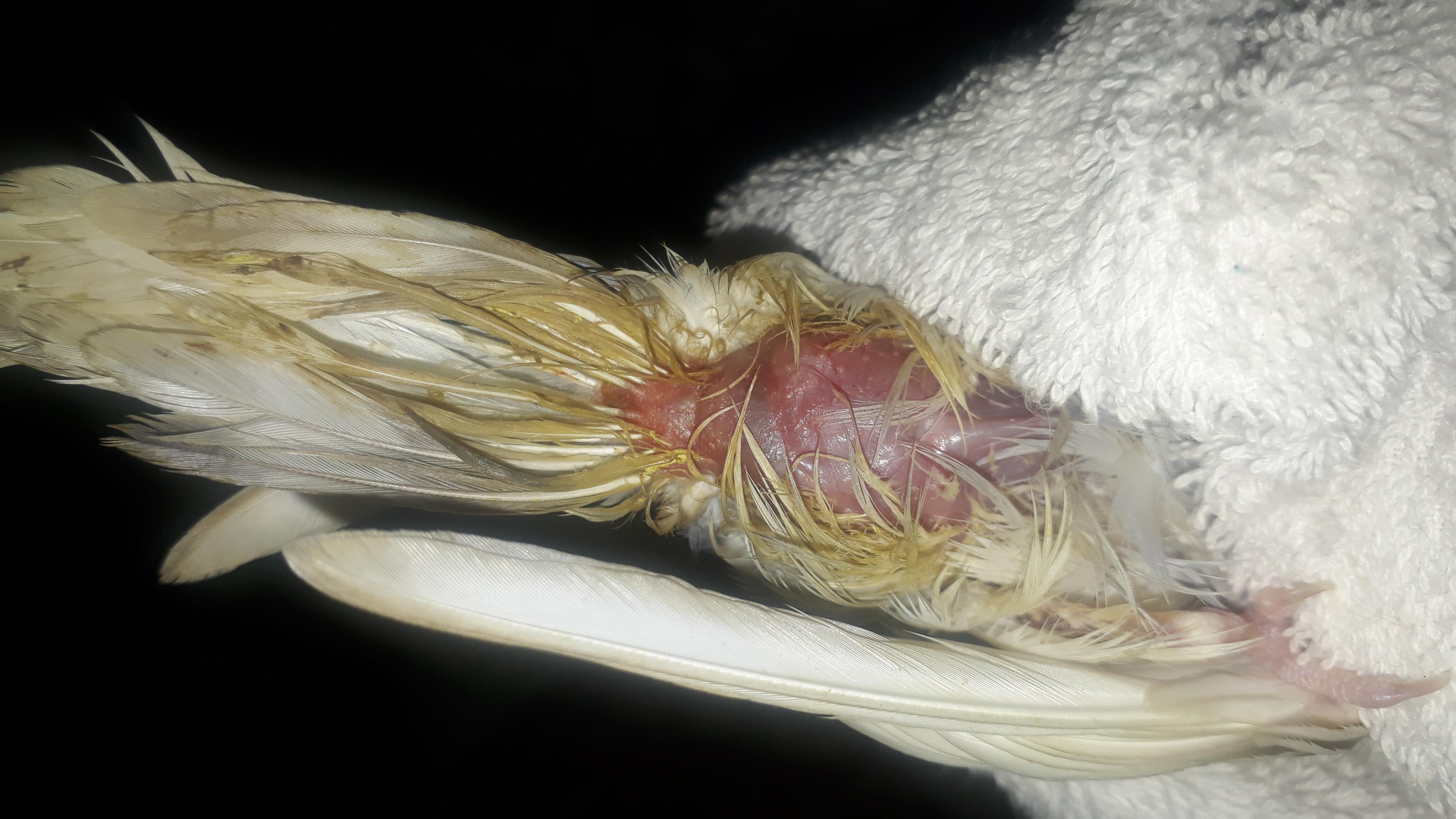 Question details sensitive content