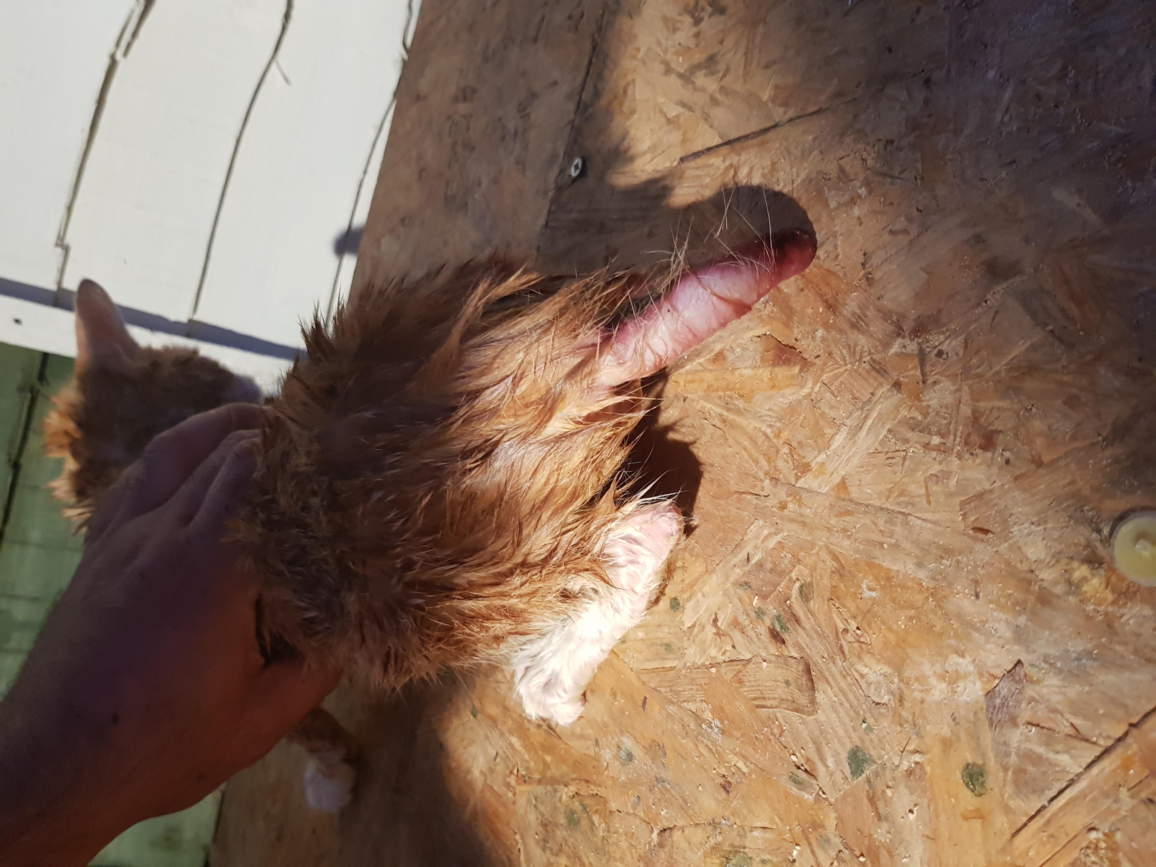 Question details sensitive content