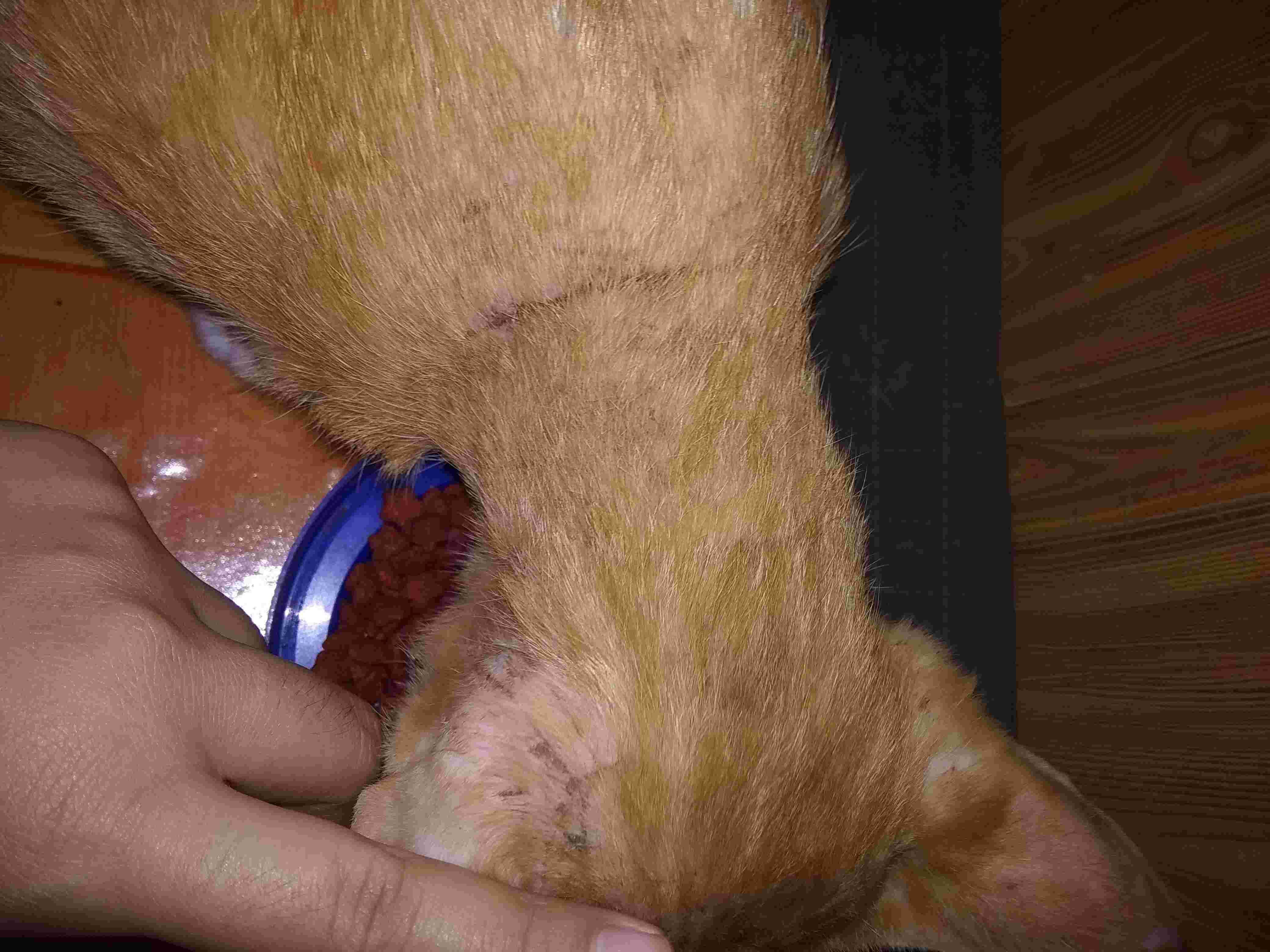 Question details sensitive content