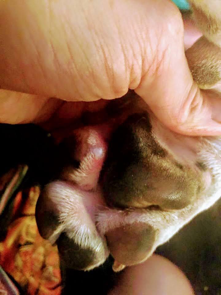 Question details sensitive content