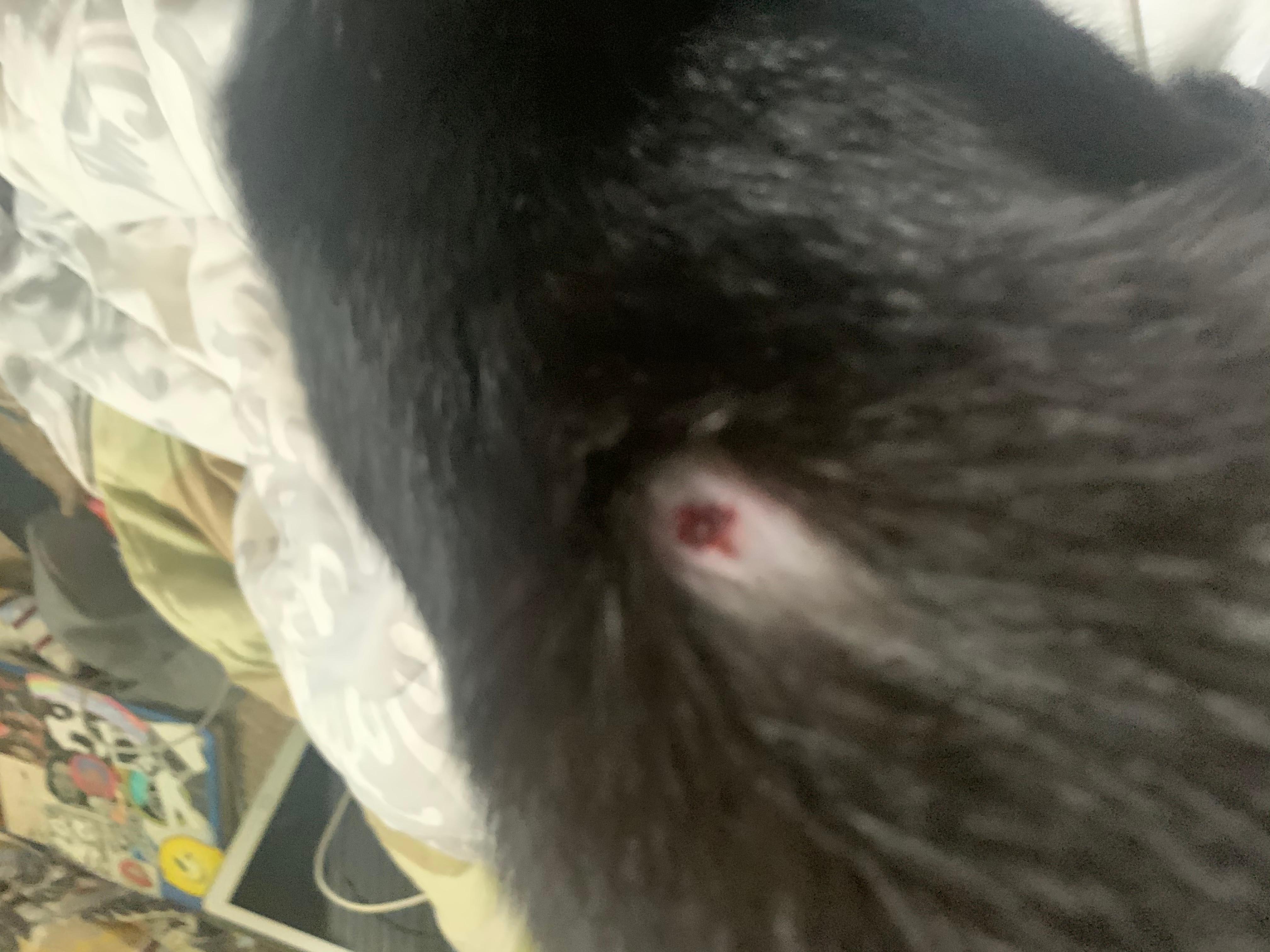 Question details sensitive content