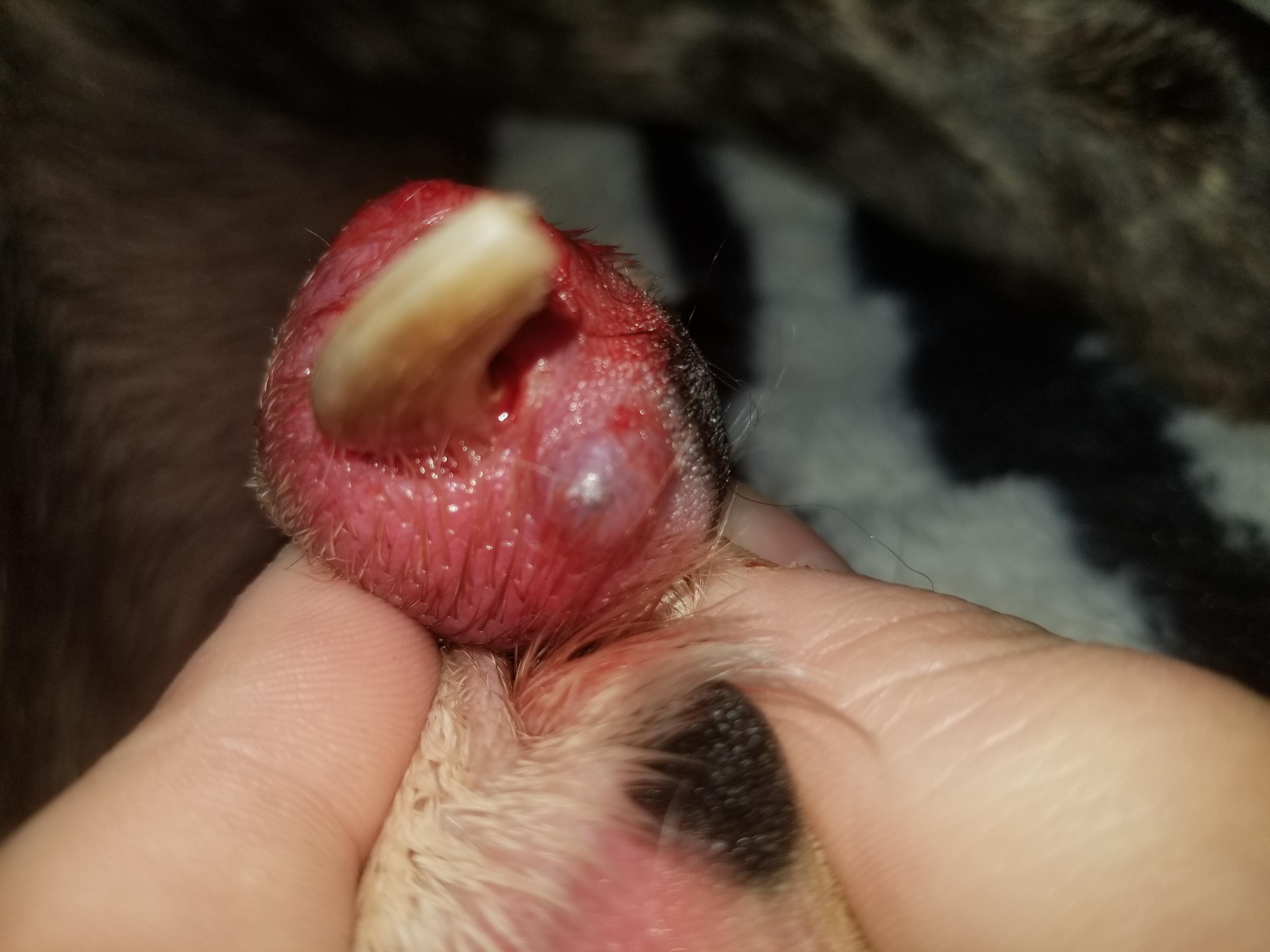 Question details sensitive content