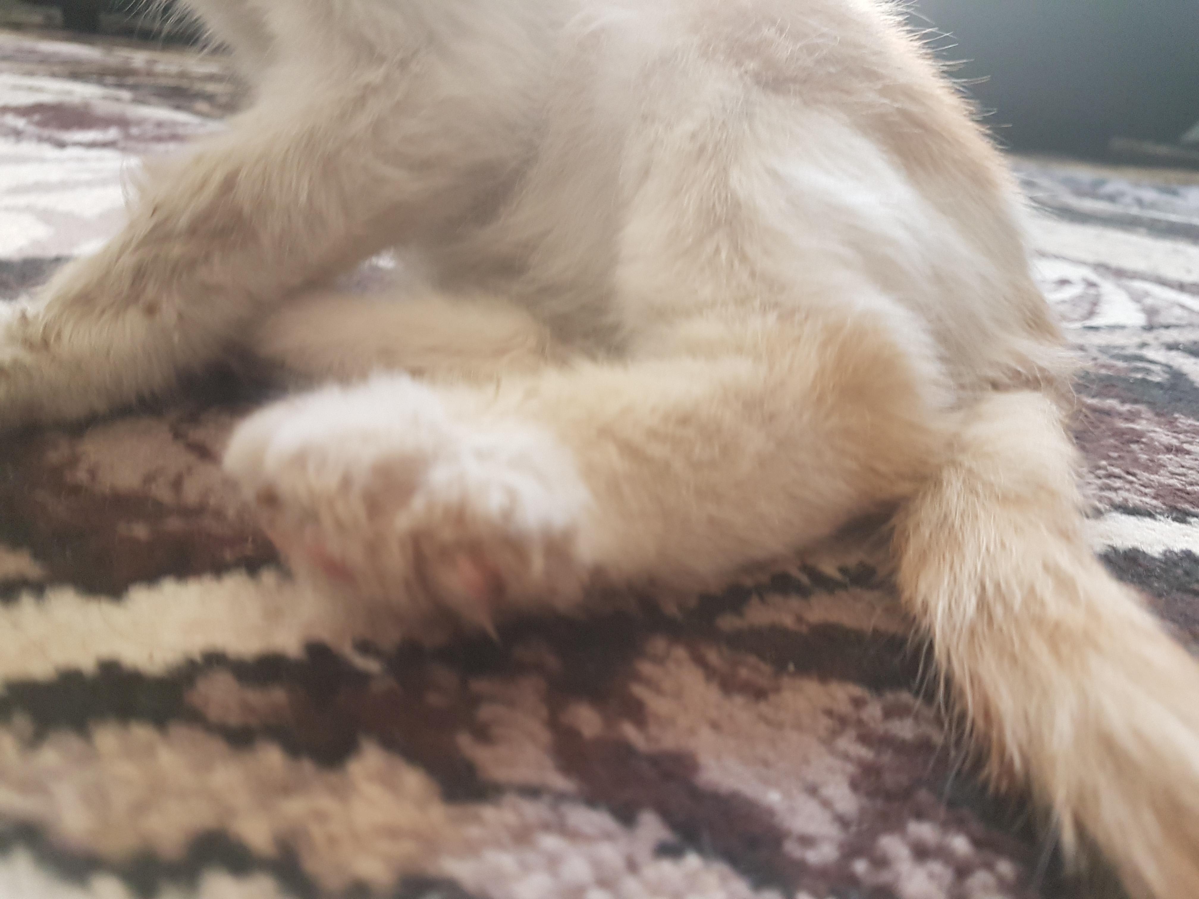 Question details sensitive content