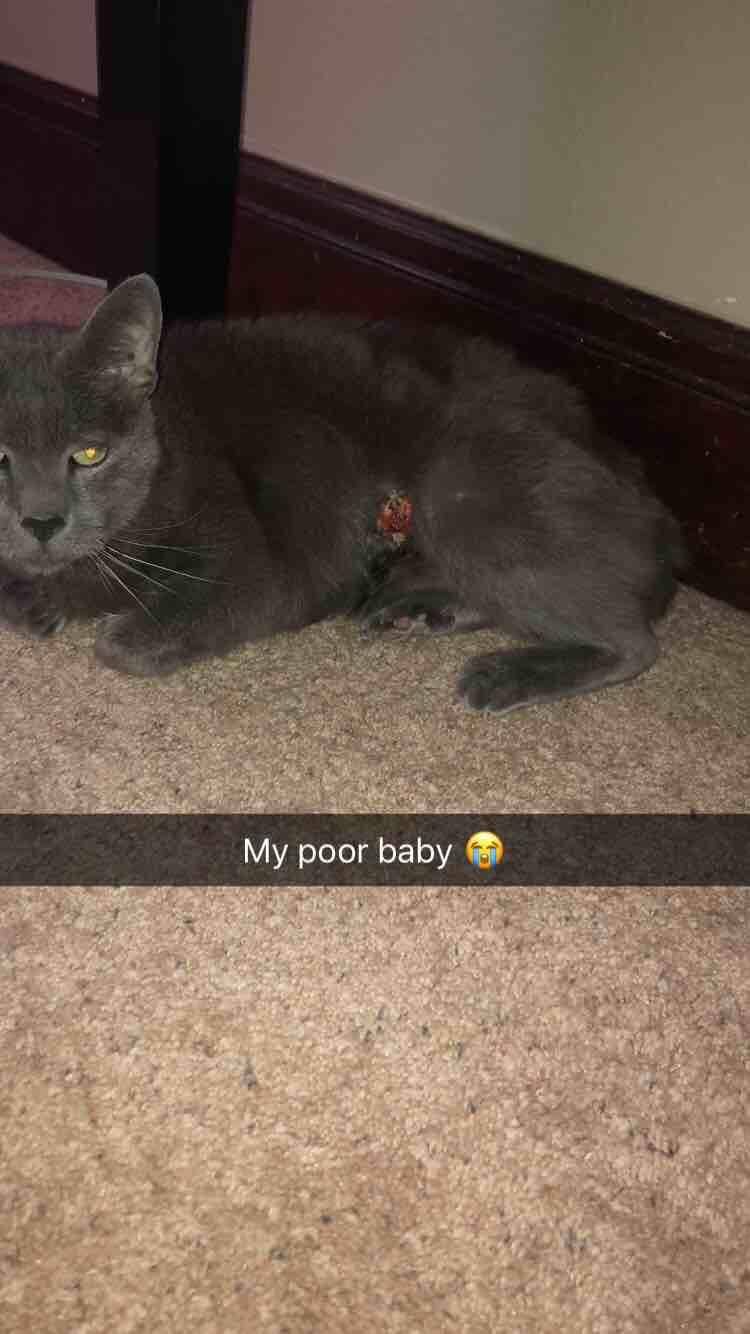 Question details sensitive content