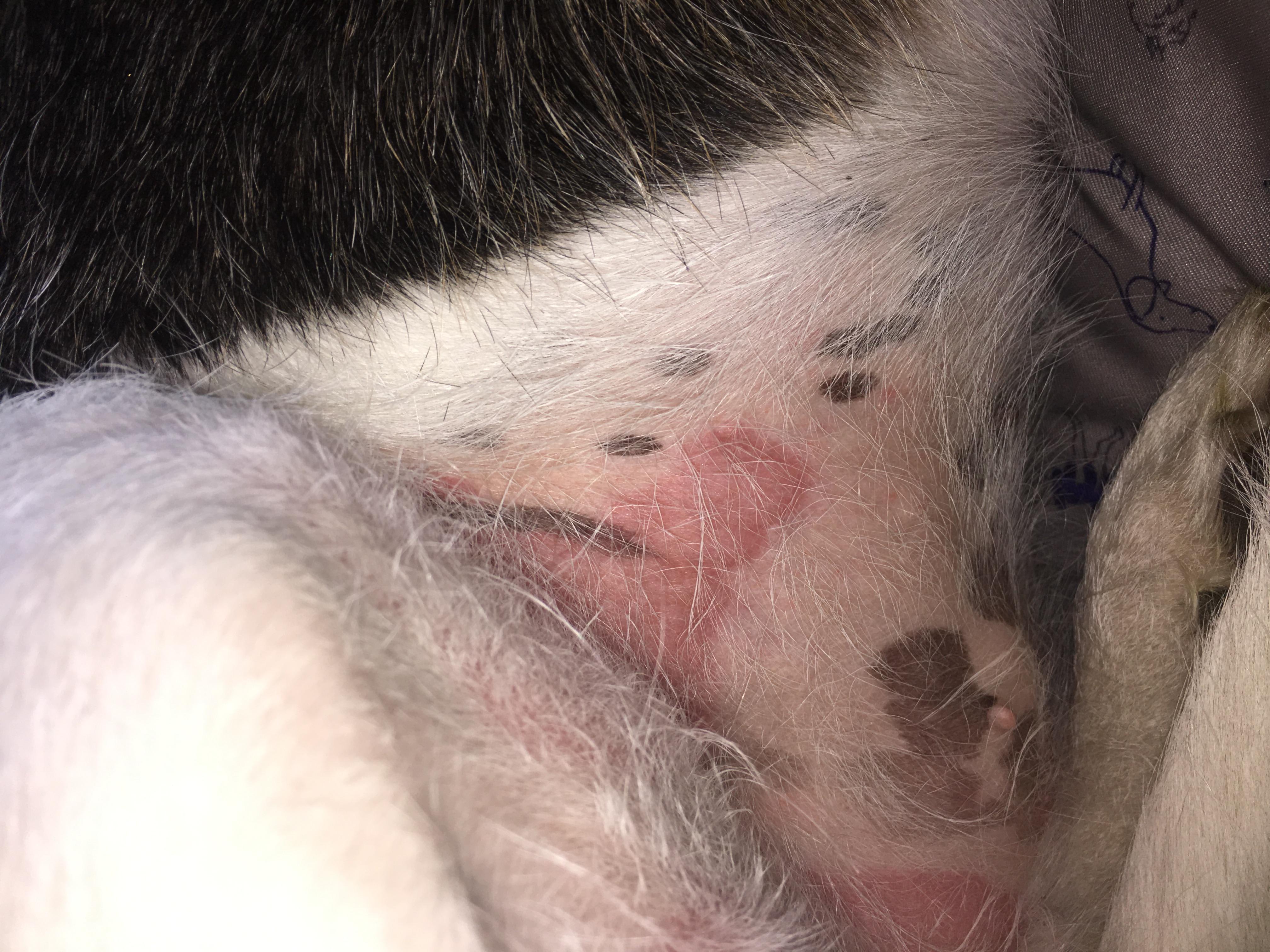 Question details sensitive content