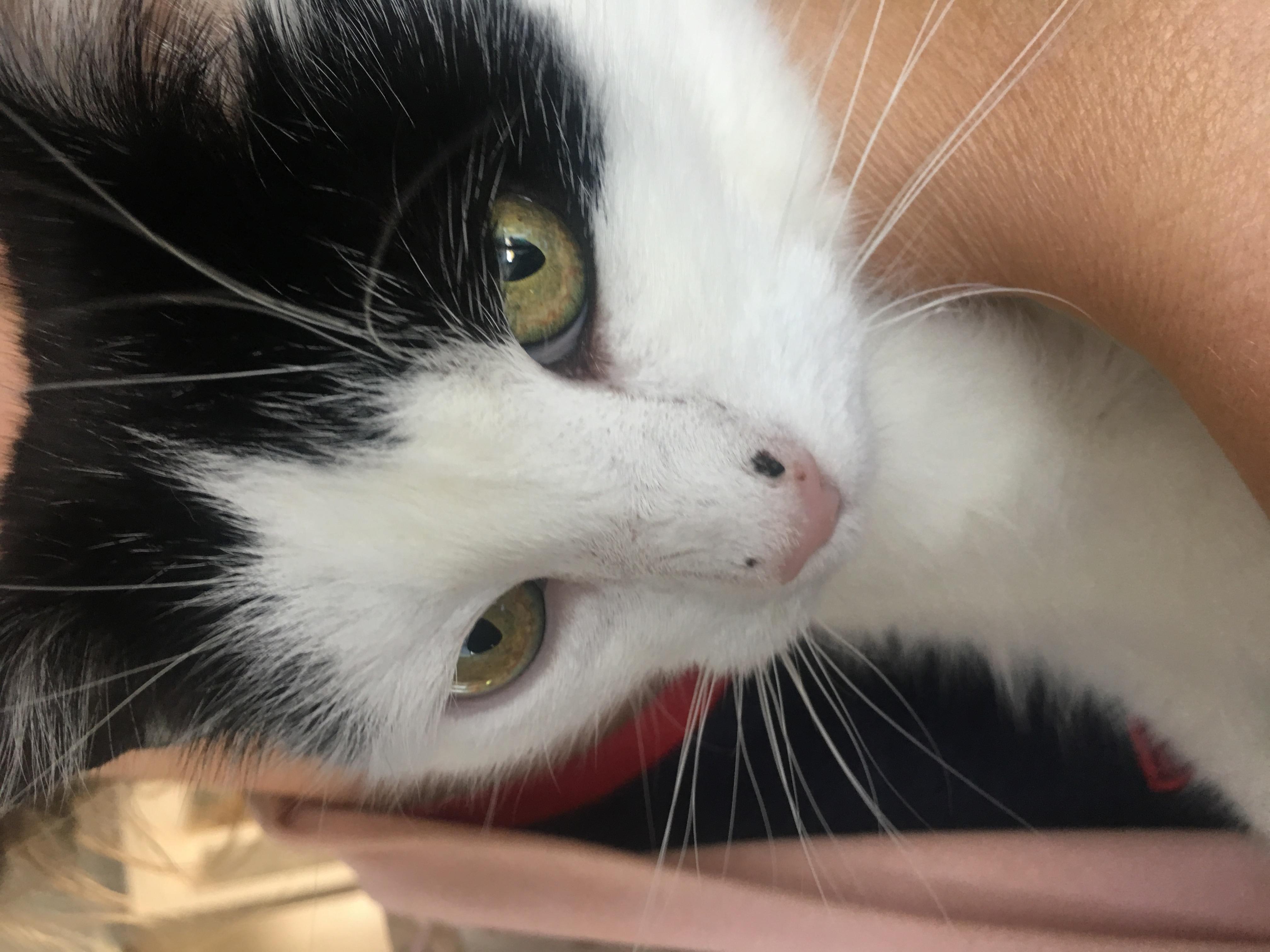 Question details sensitive content