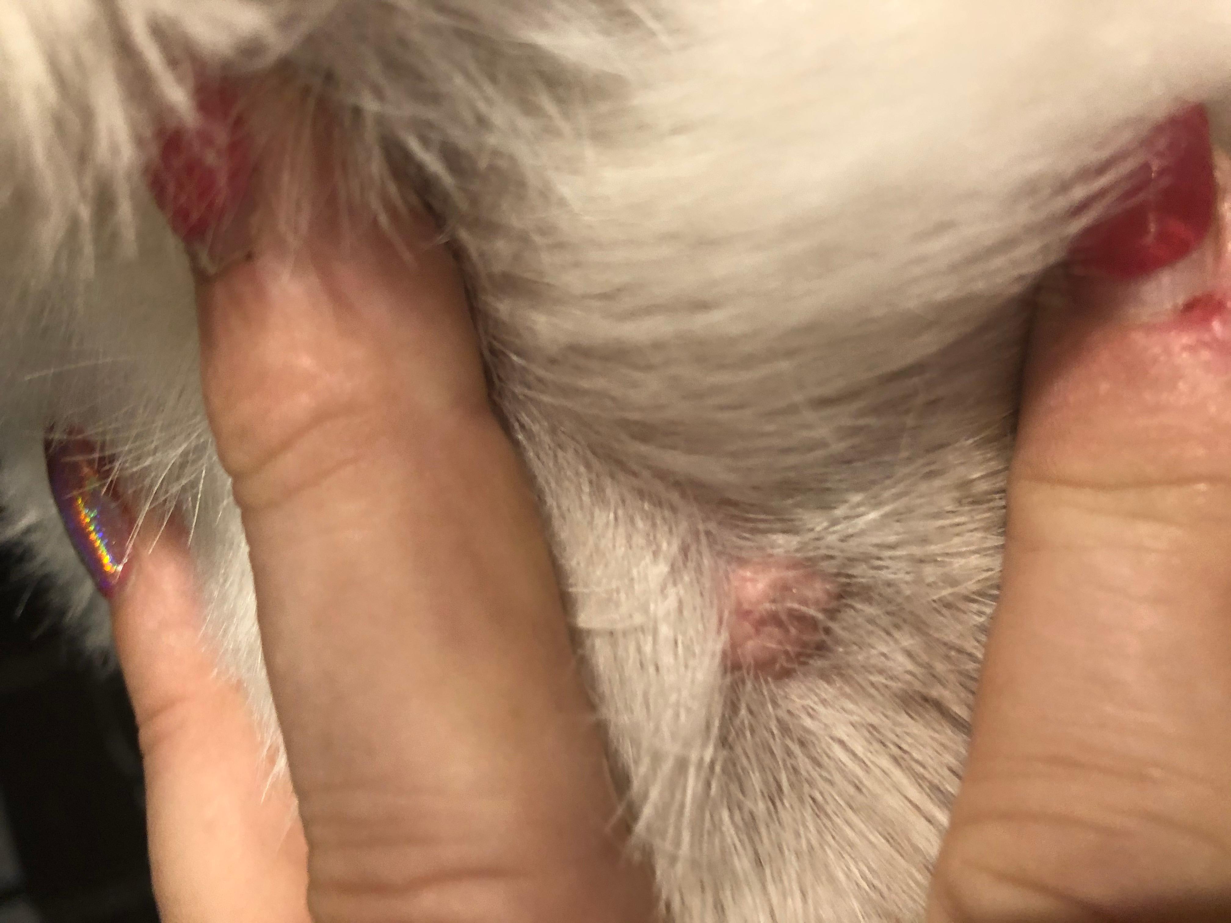 Question details sensitive content