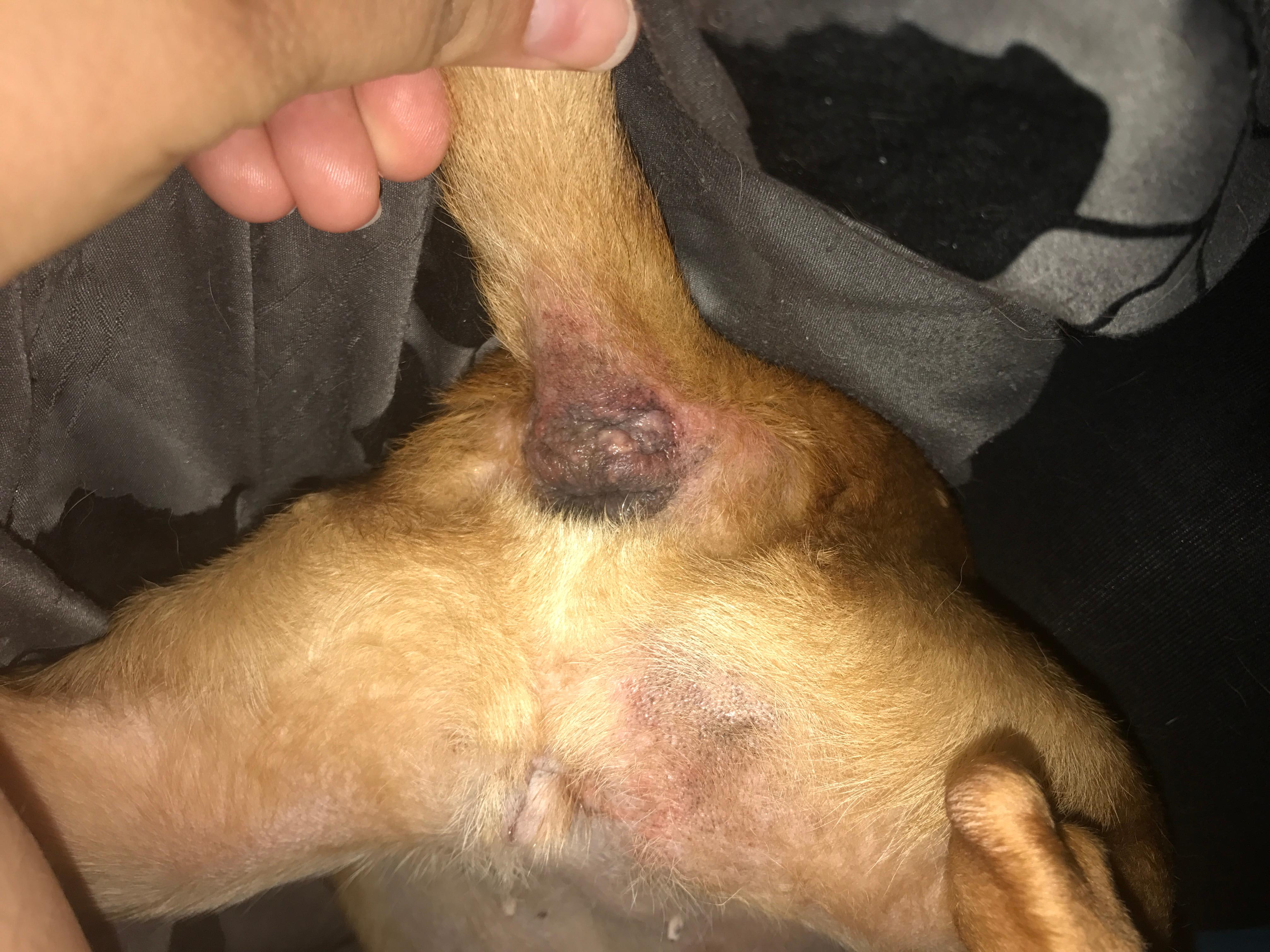 Question details sensitive content