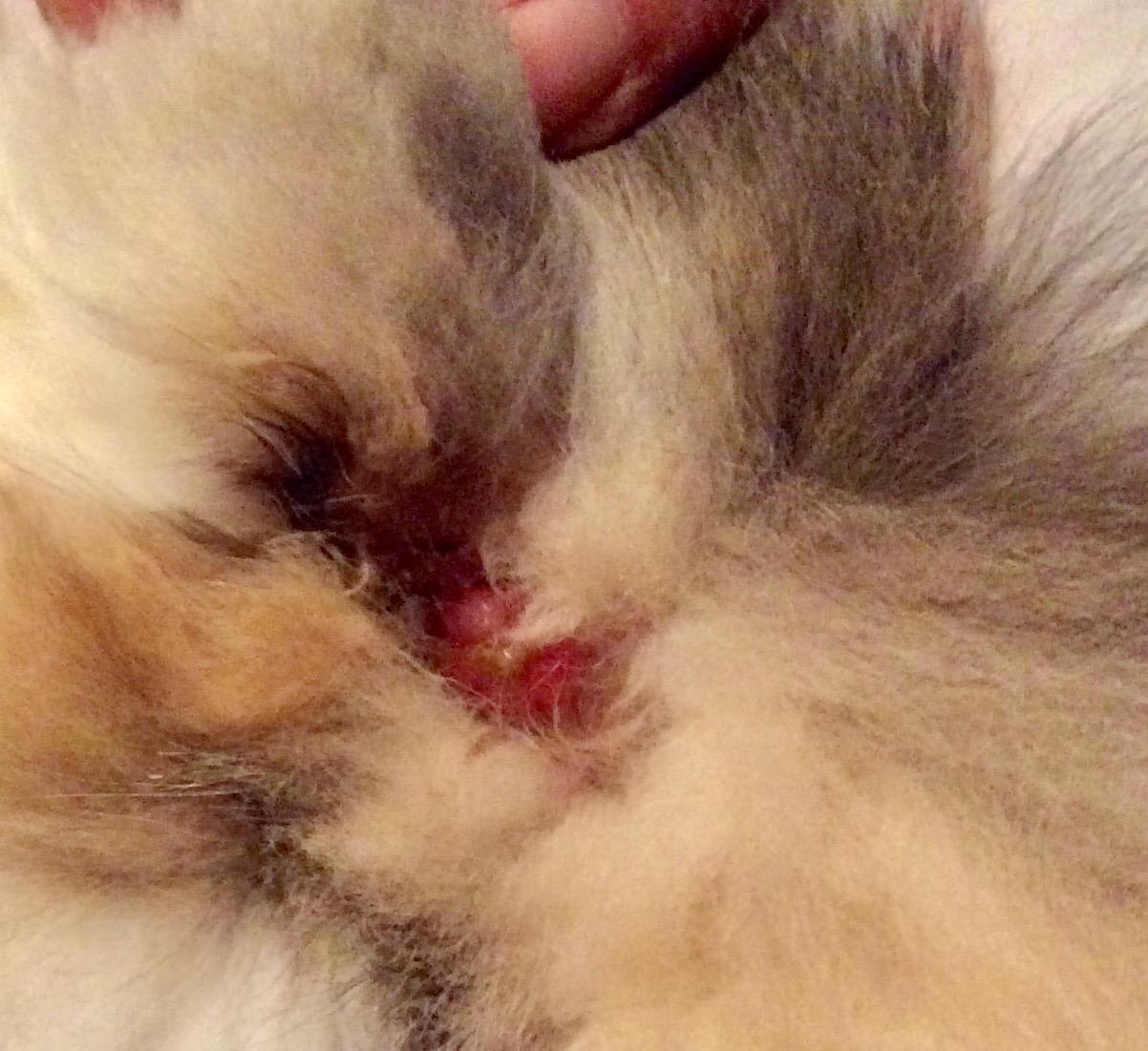 Question details sensitive content