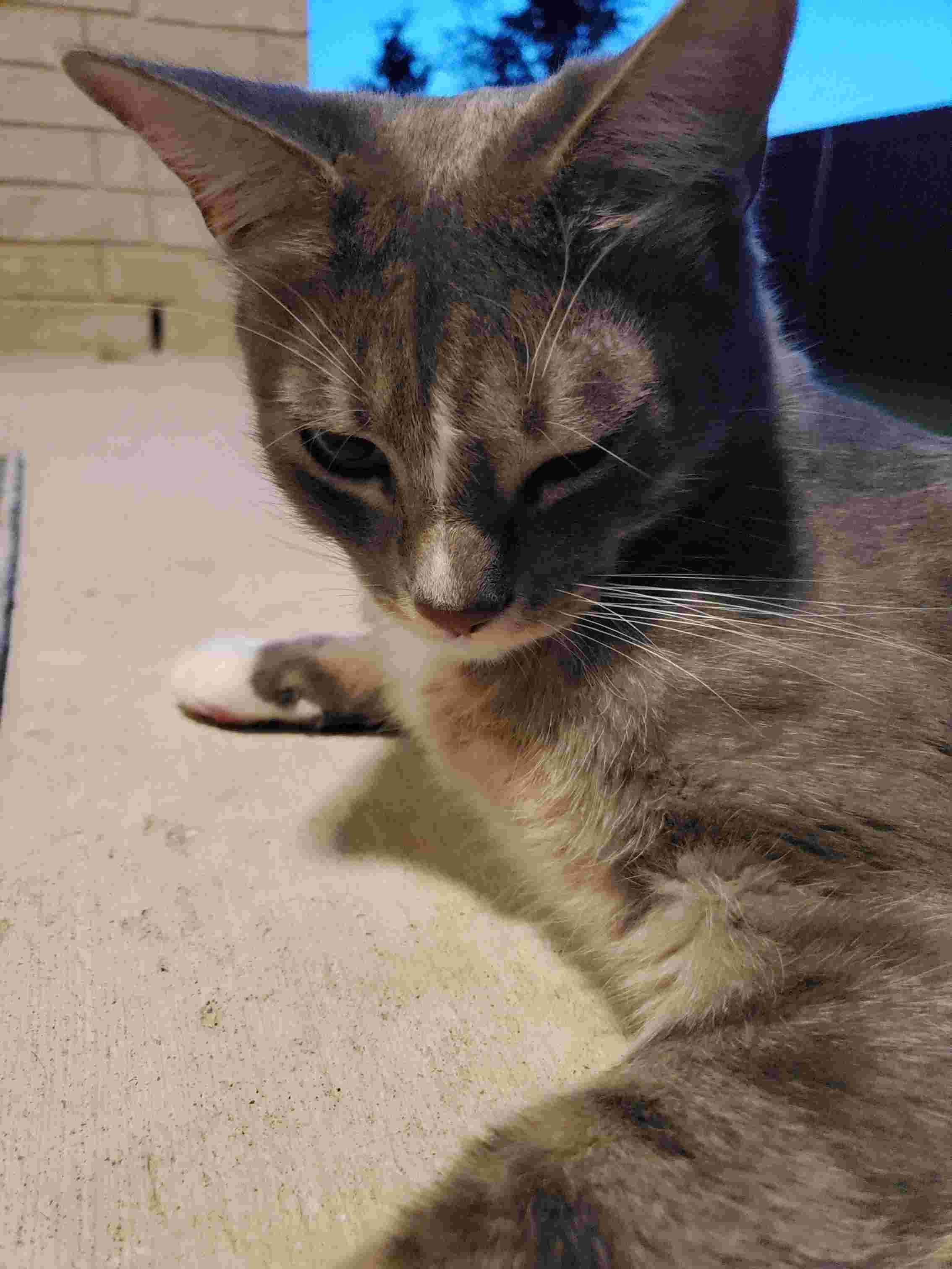 Question details sensitive content