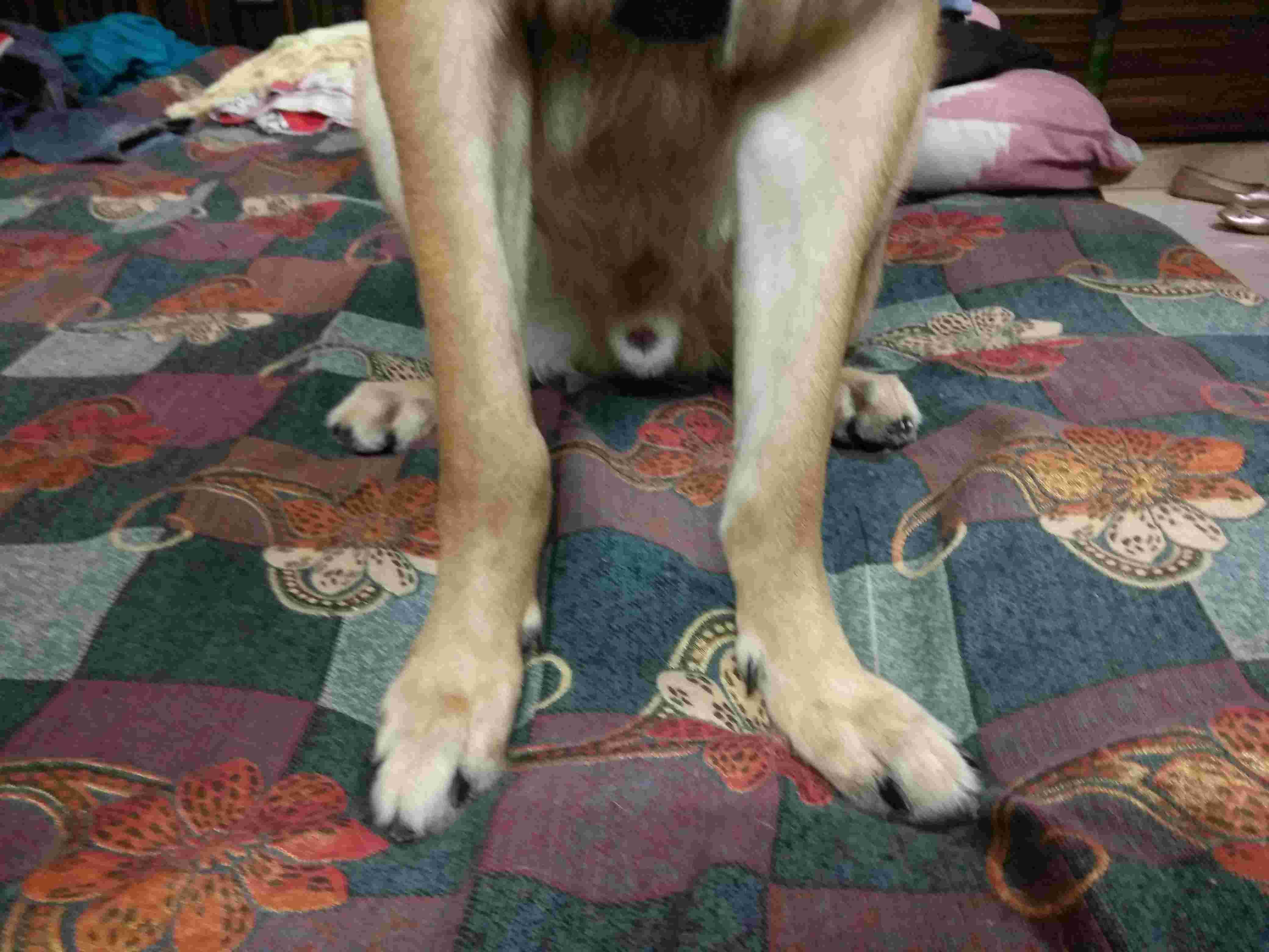 Question details sensitive content