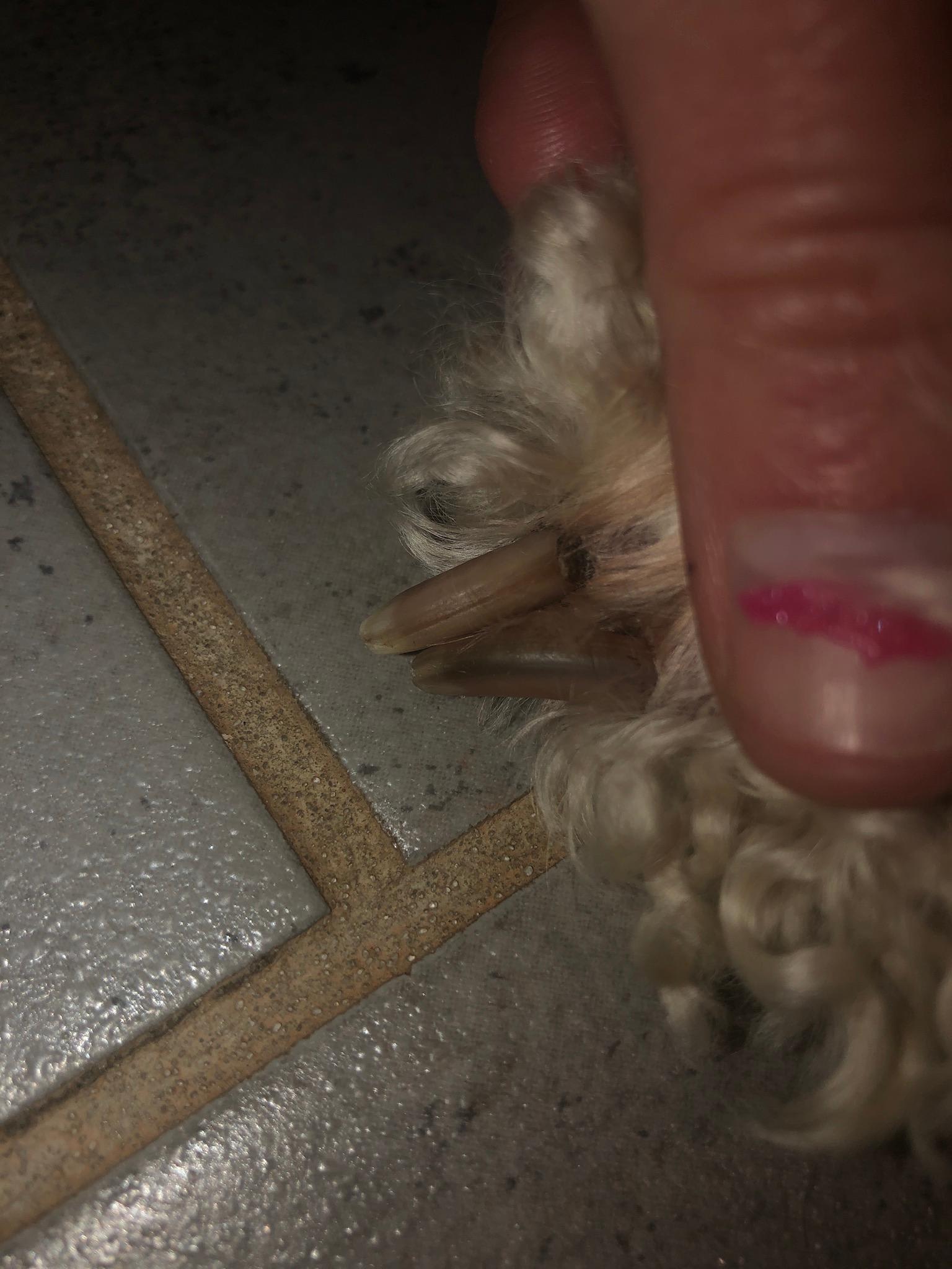 Question details sensitive content