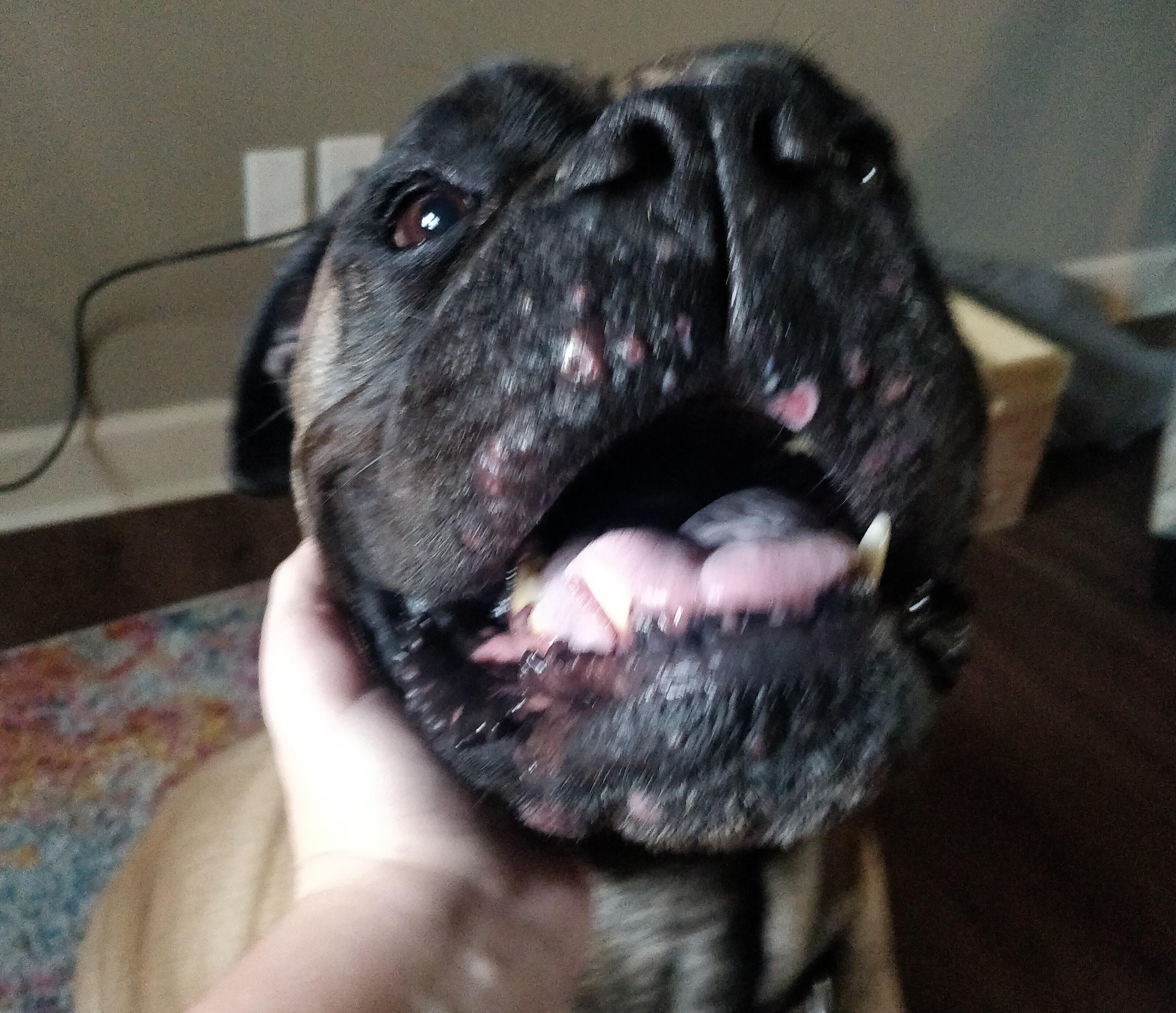 Question details sensitive content