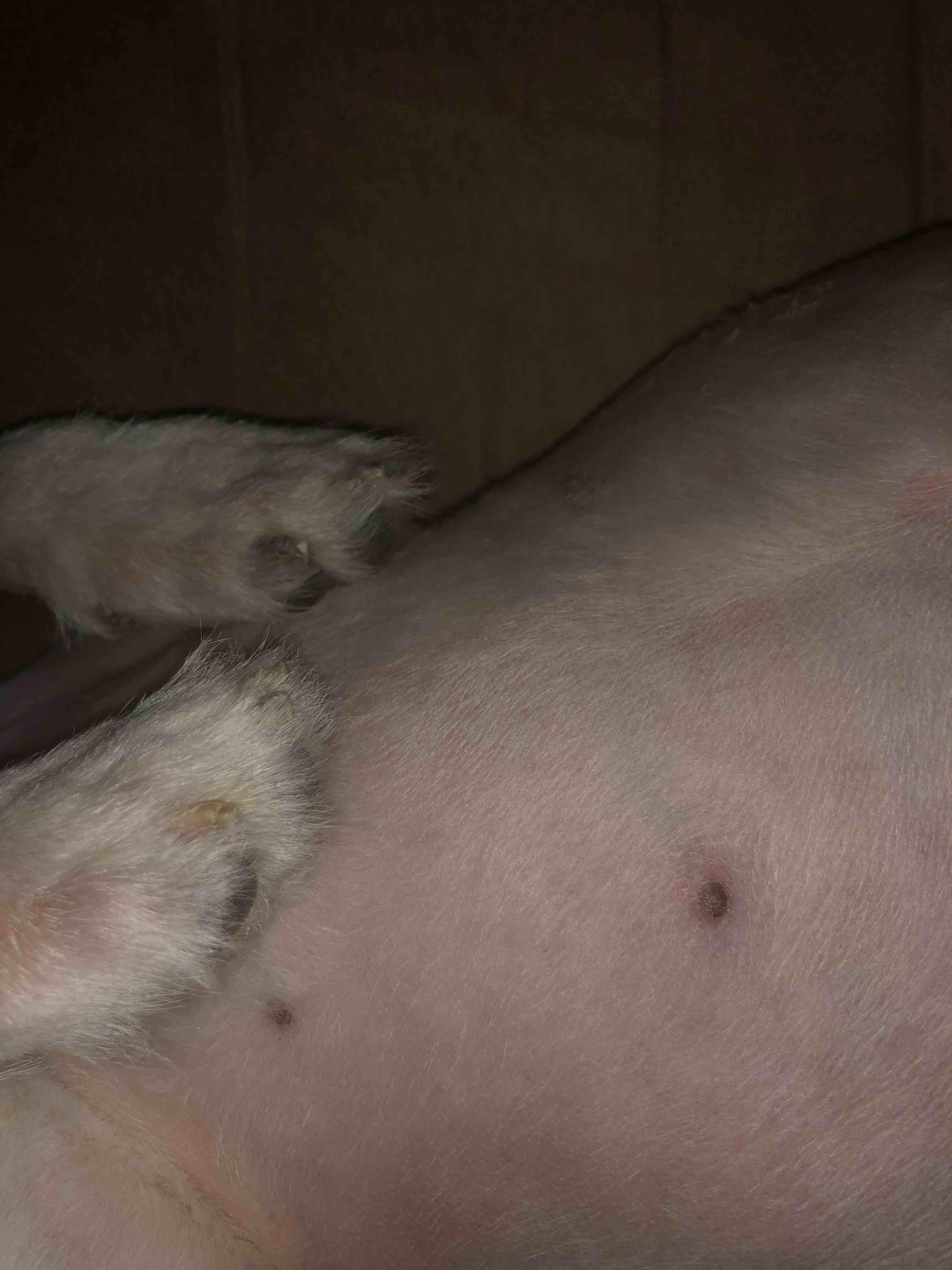 Question details sensitive content