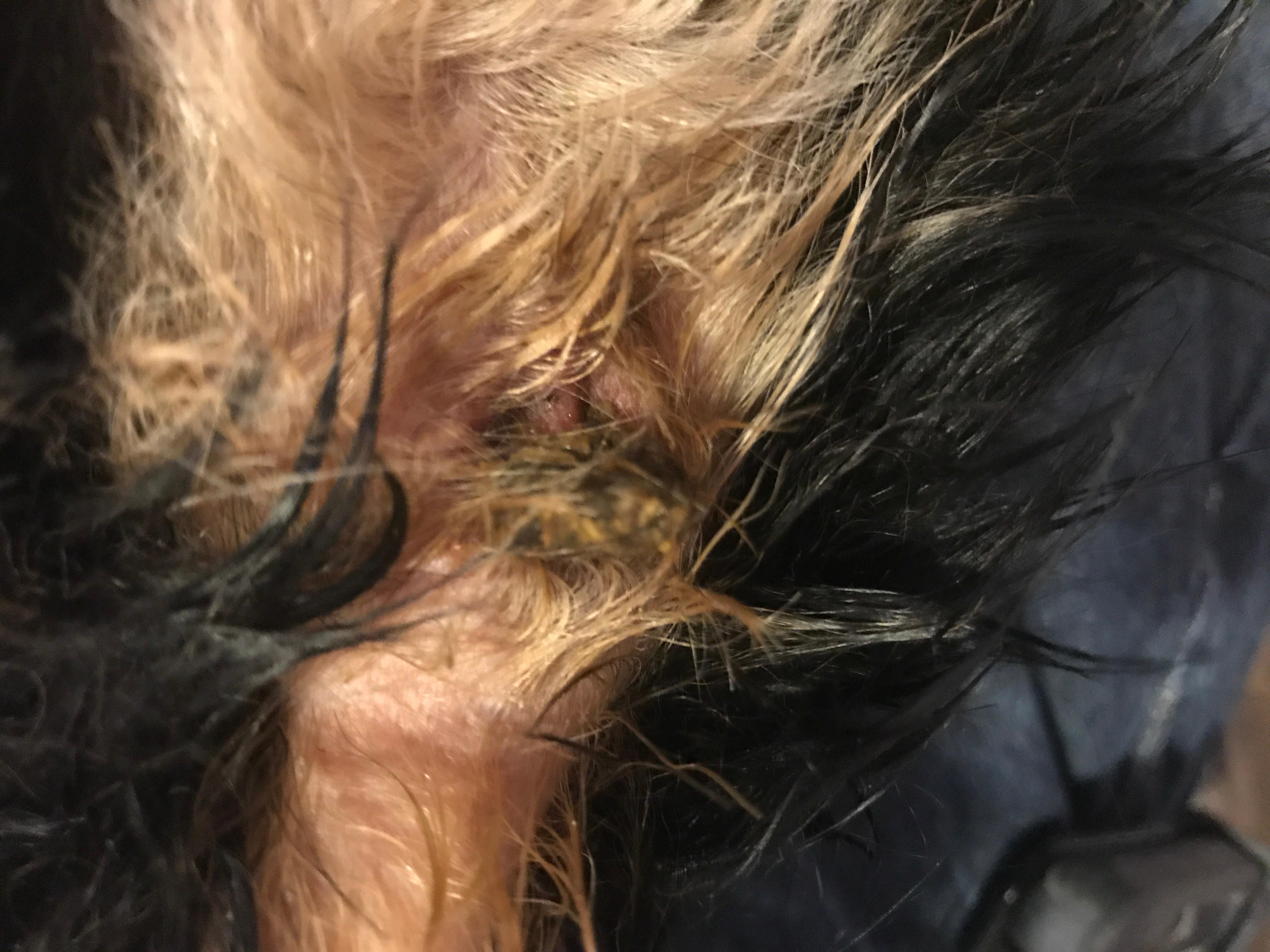 Question details sensitive content