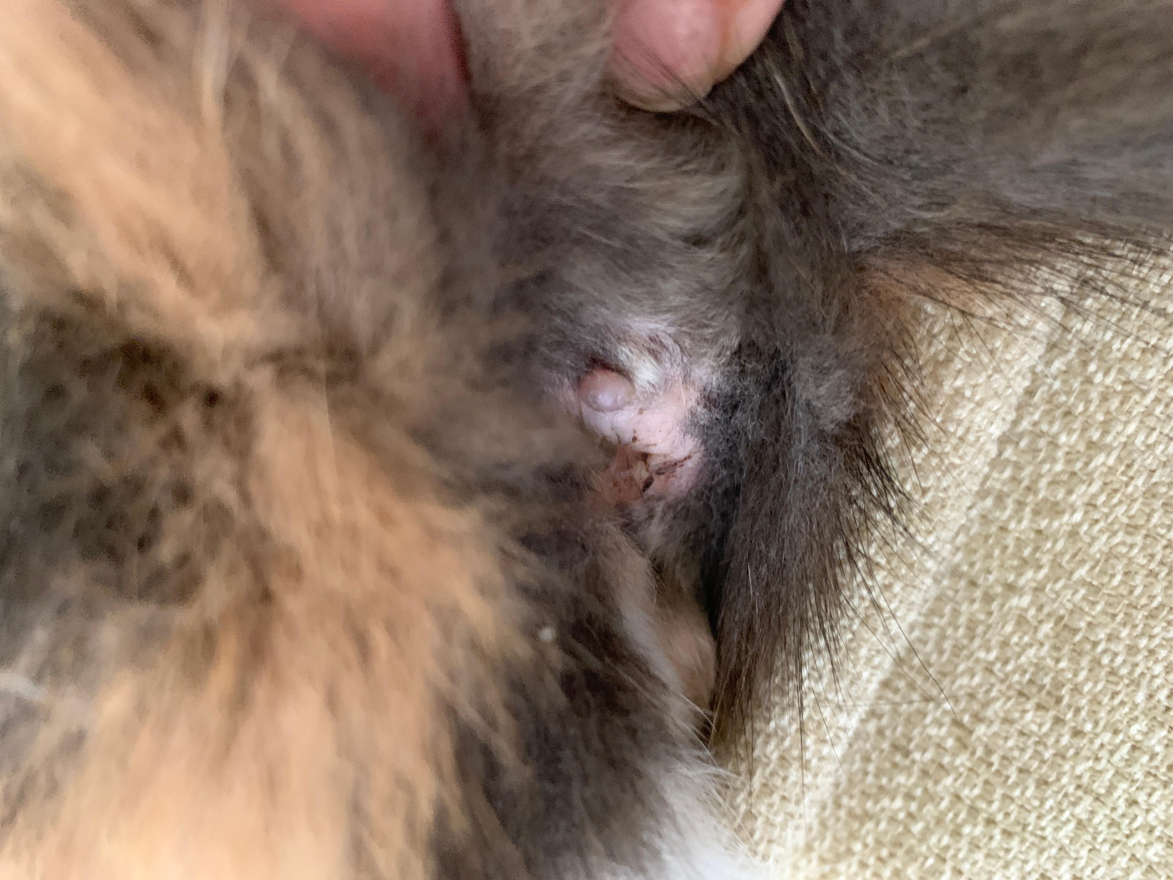 Question details sensitive content