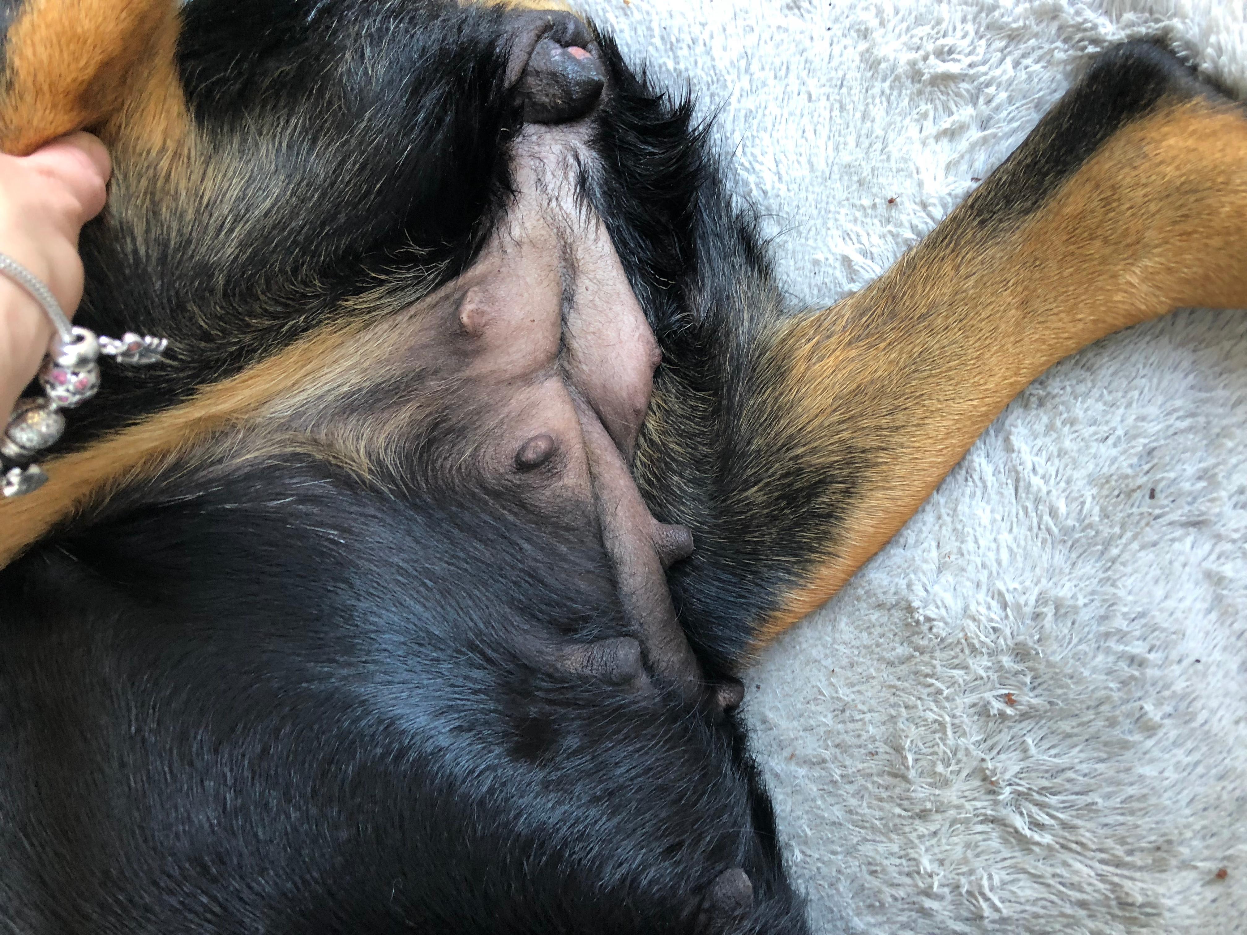 Question details sensitive content