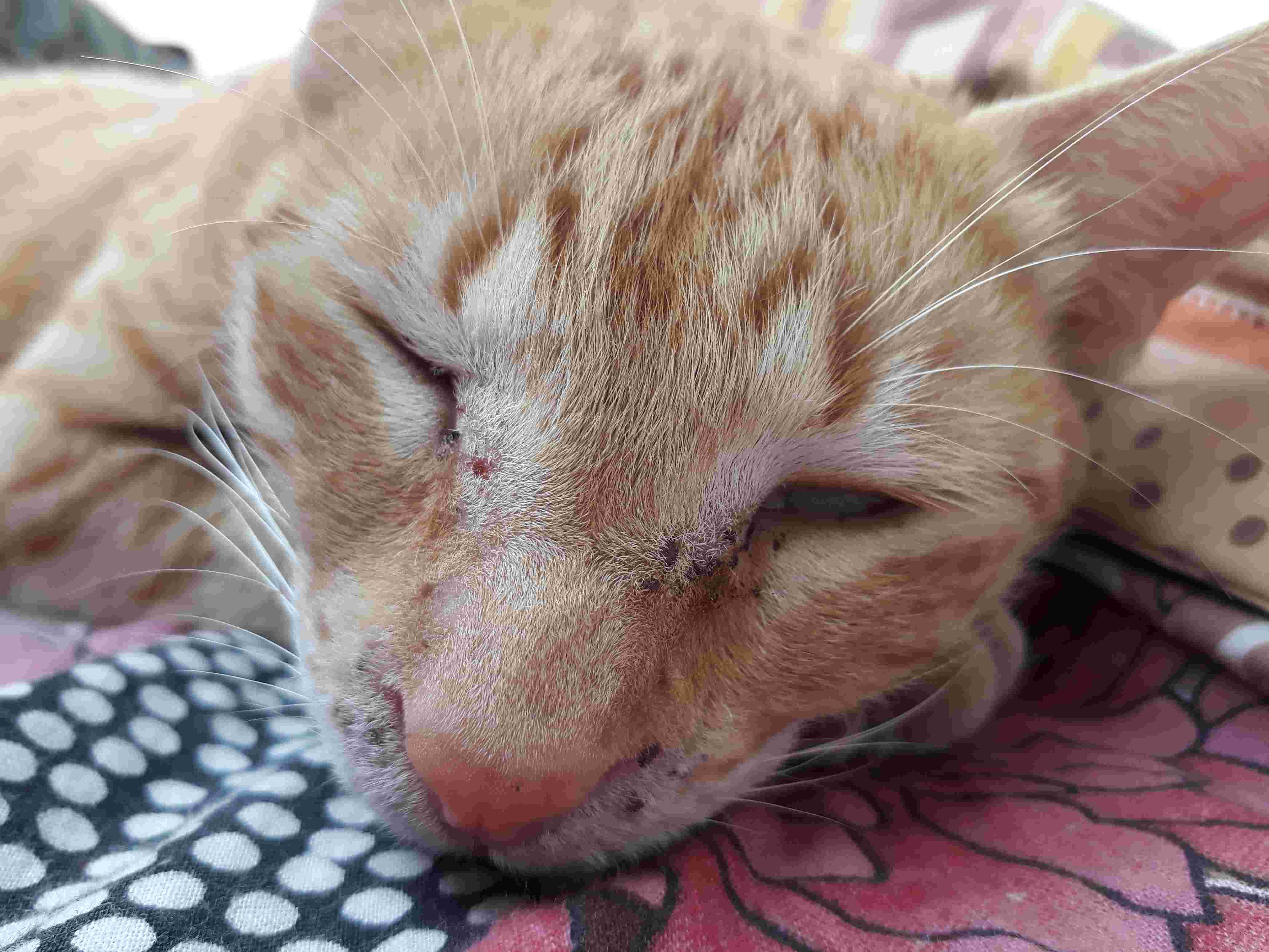 Question details sensitive content