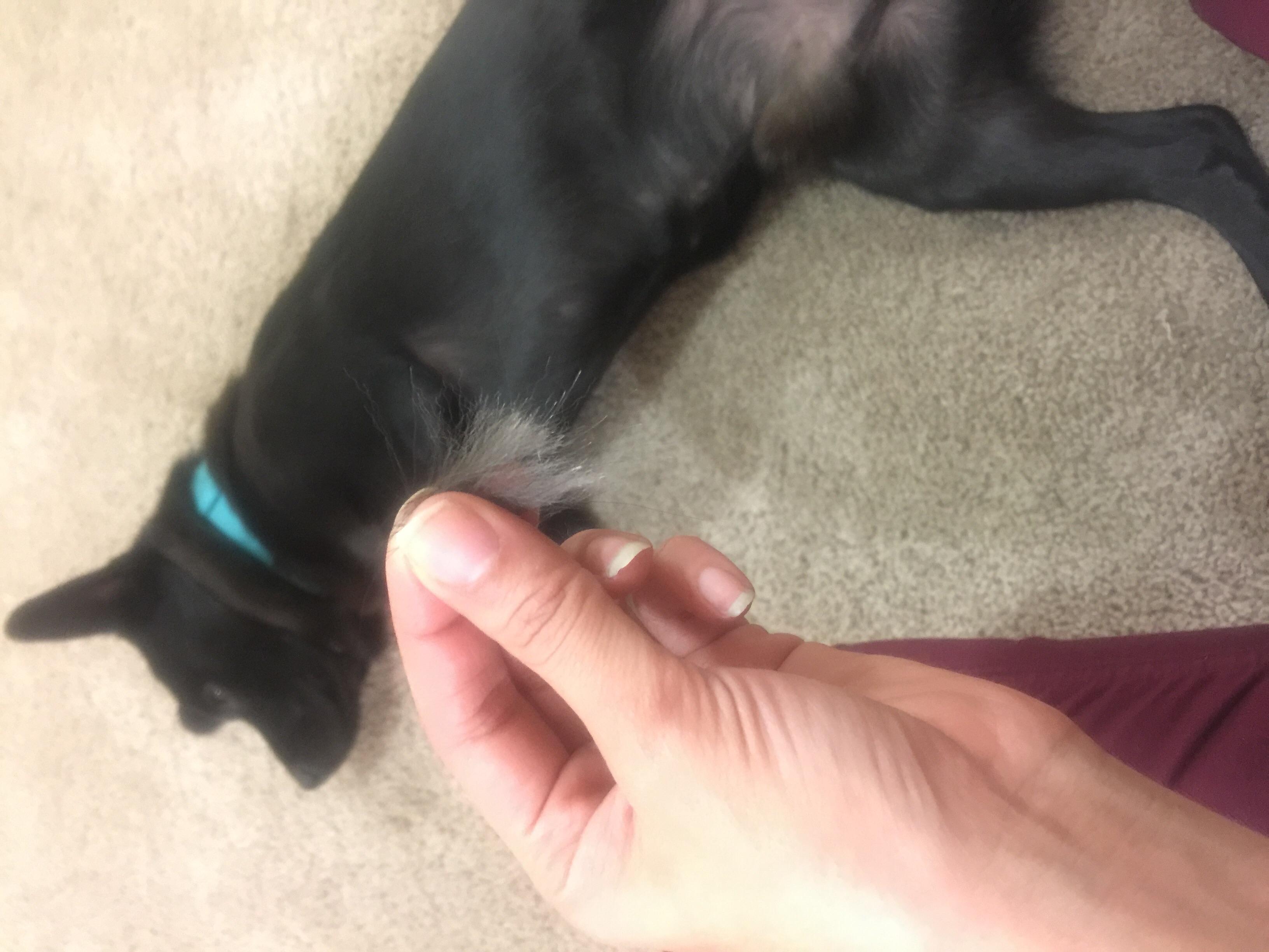 Question details sensitive content