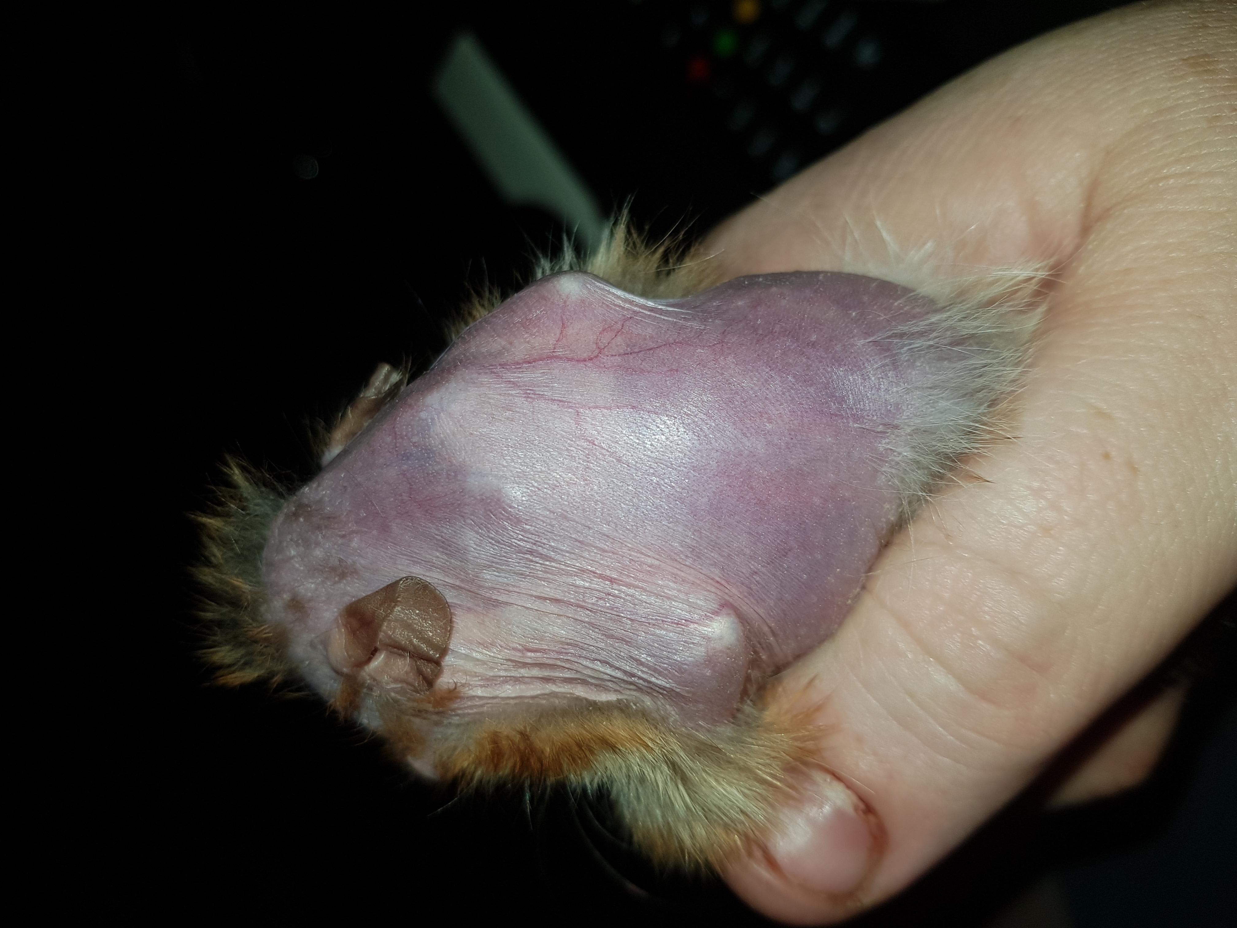 Question details sensitive content