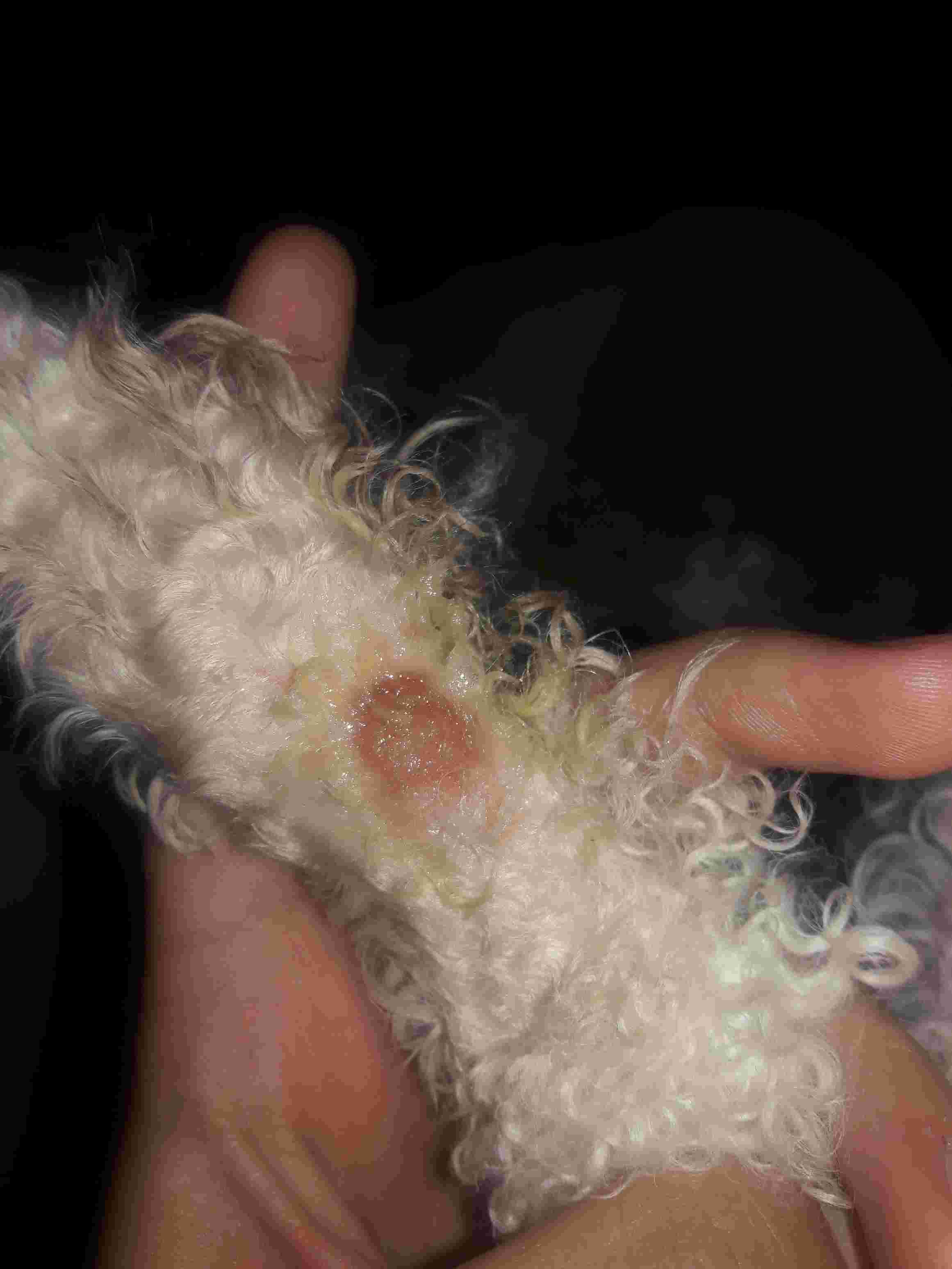 Question details sensitive content