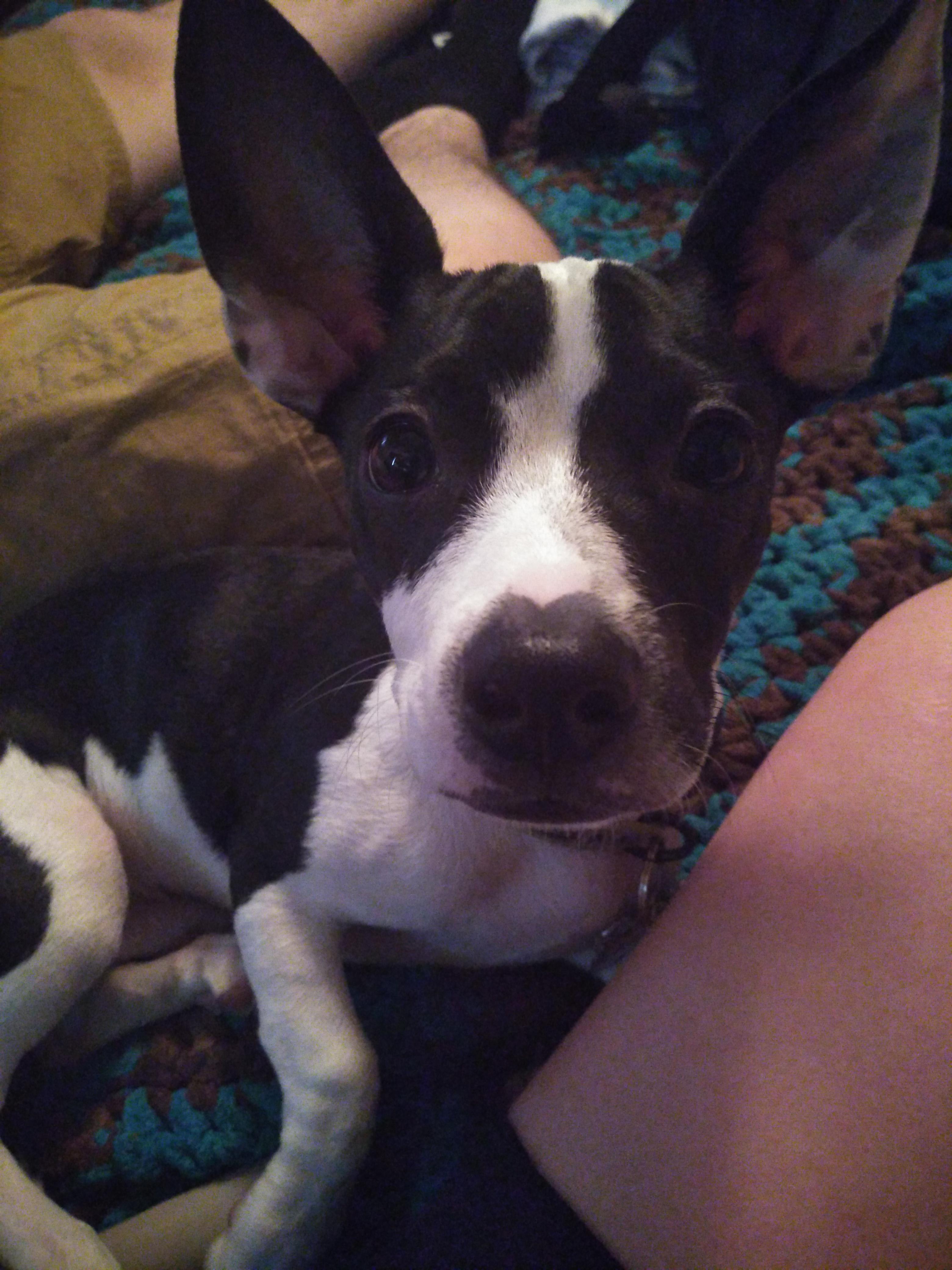 Question details sensitive content