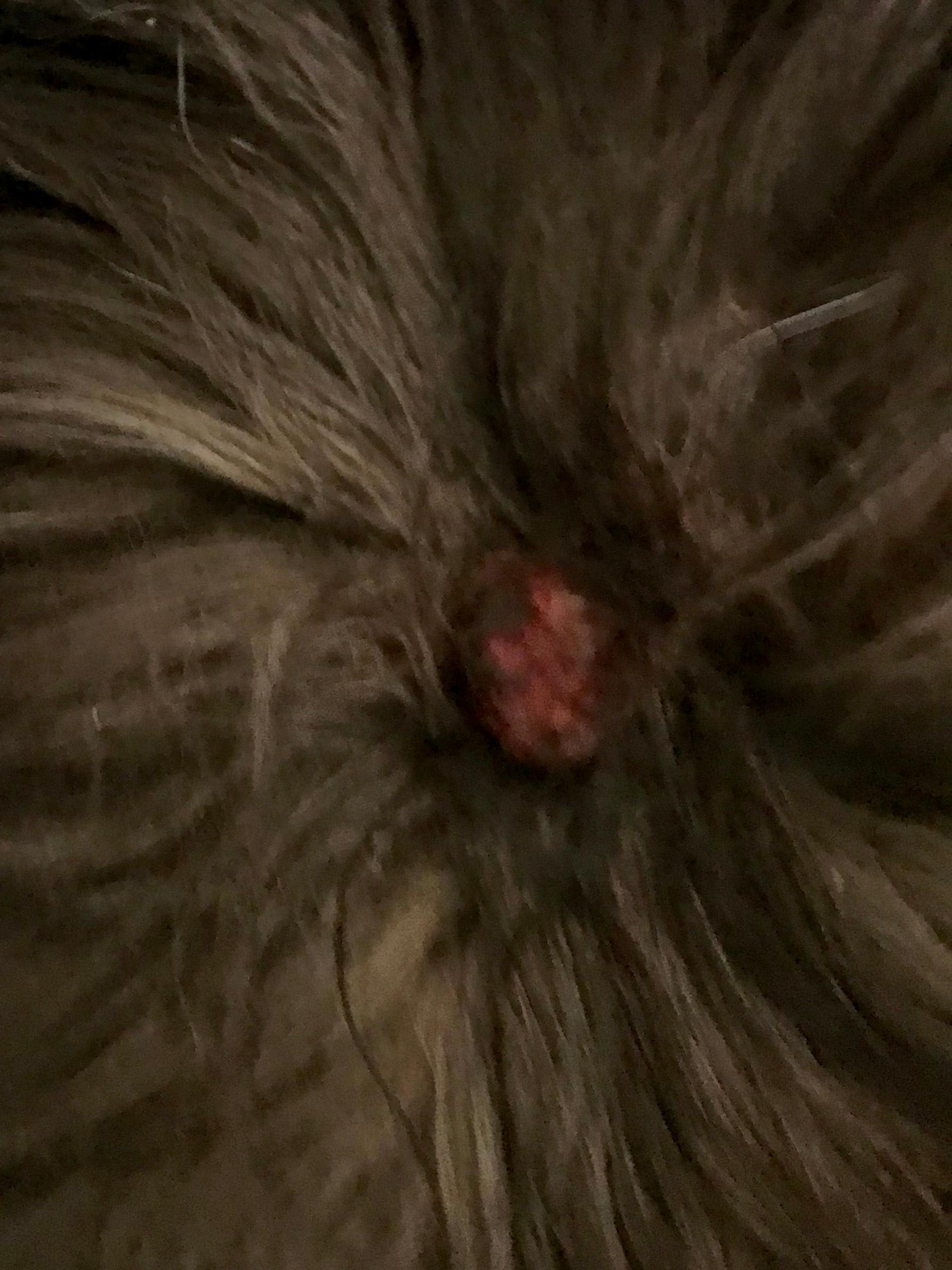 Question details sensitive content