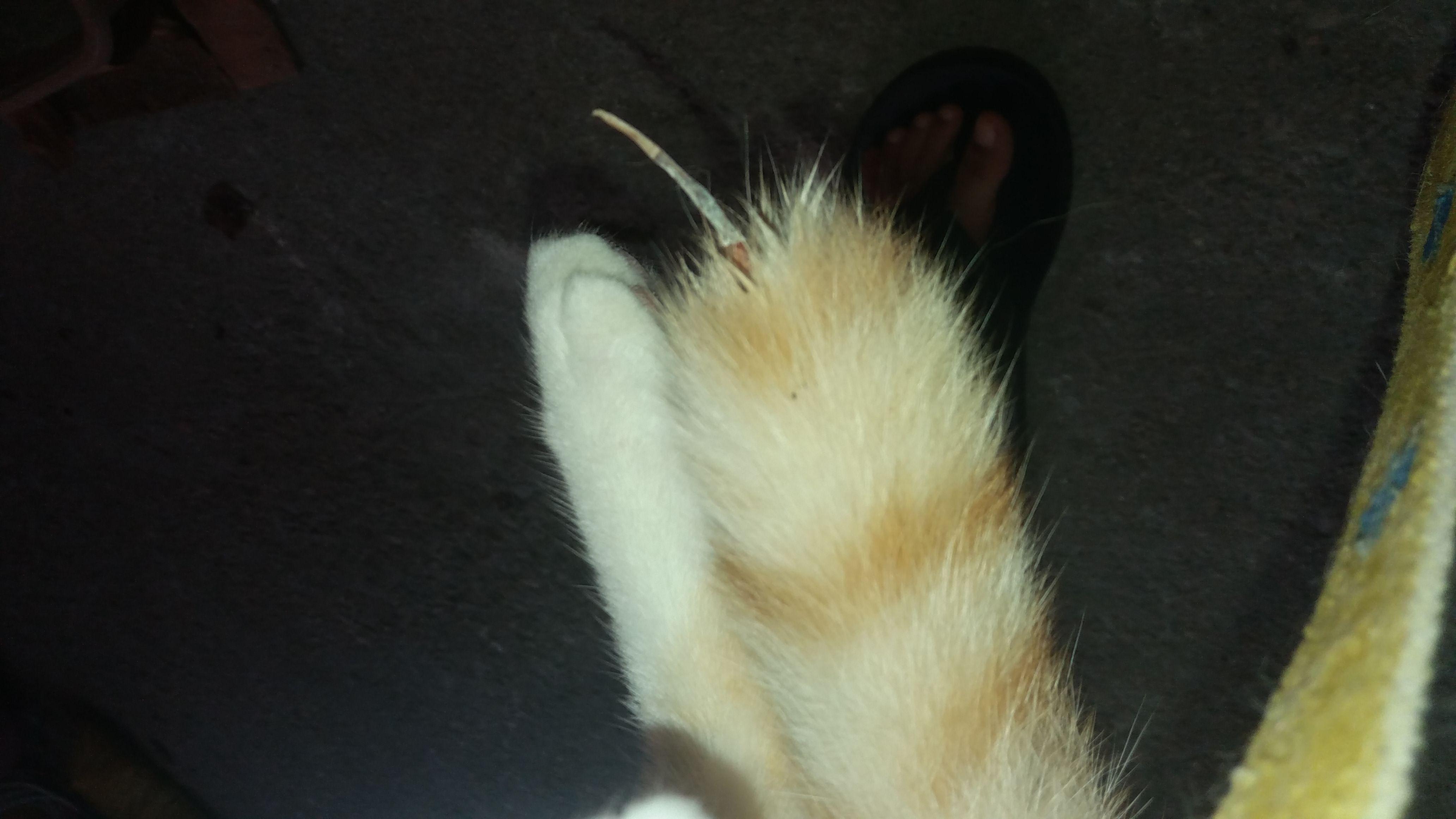 Question details sensitive content