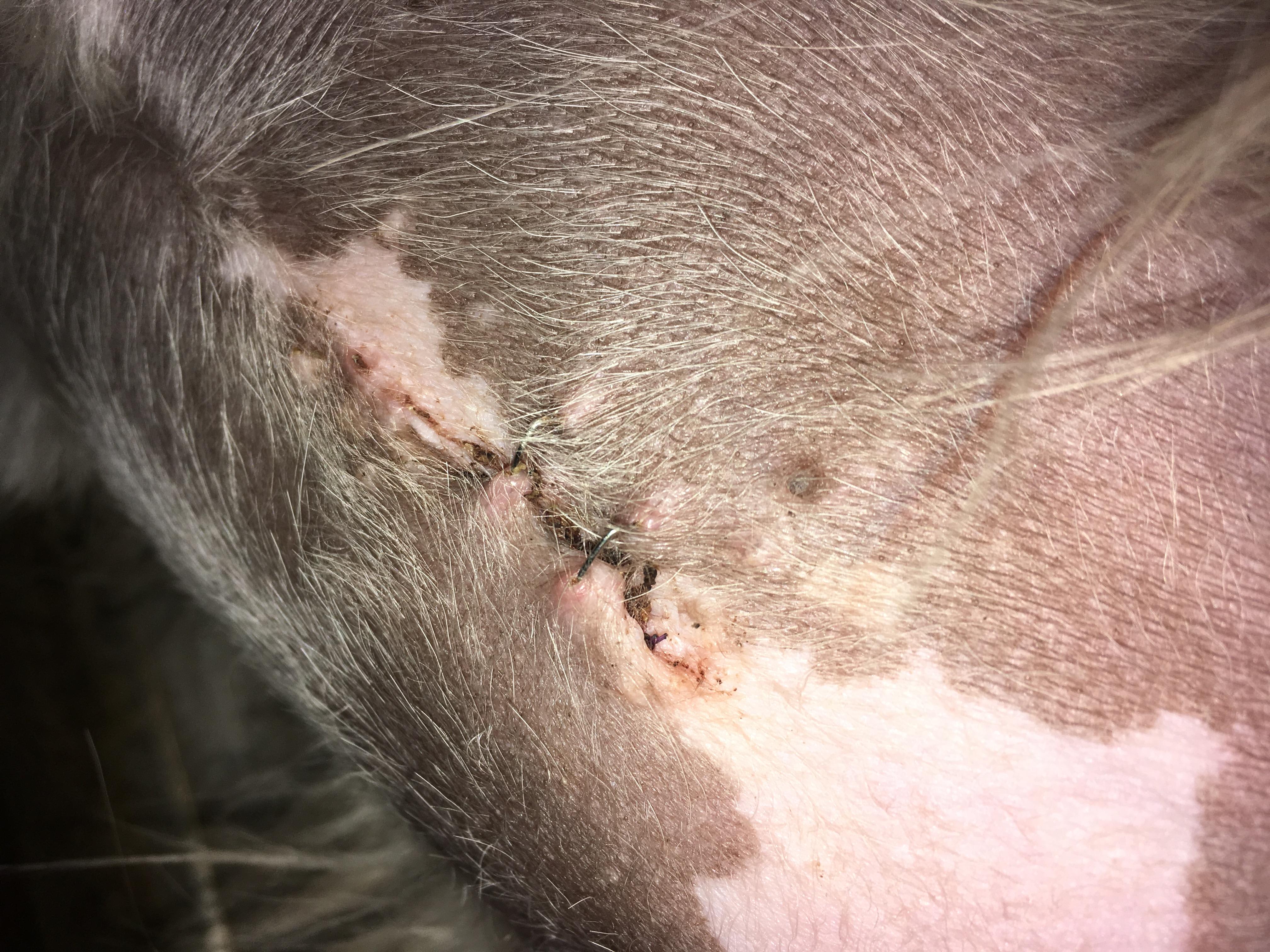 Question details sensitive content