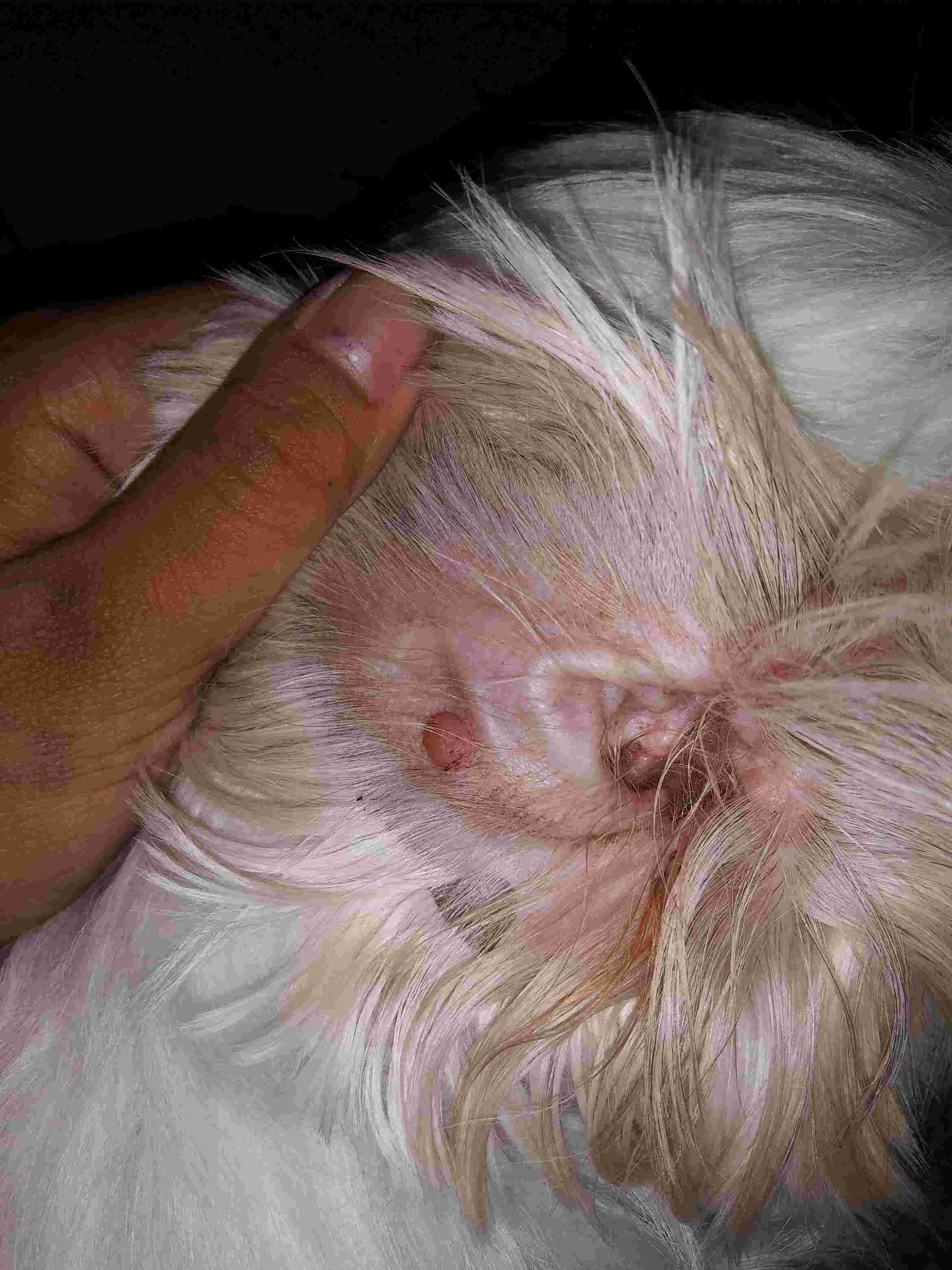 Question details sensitive content