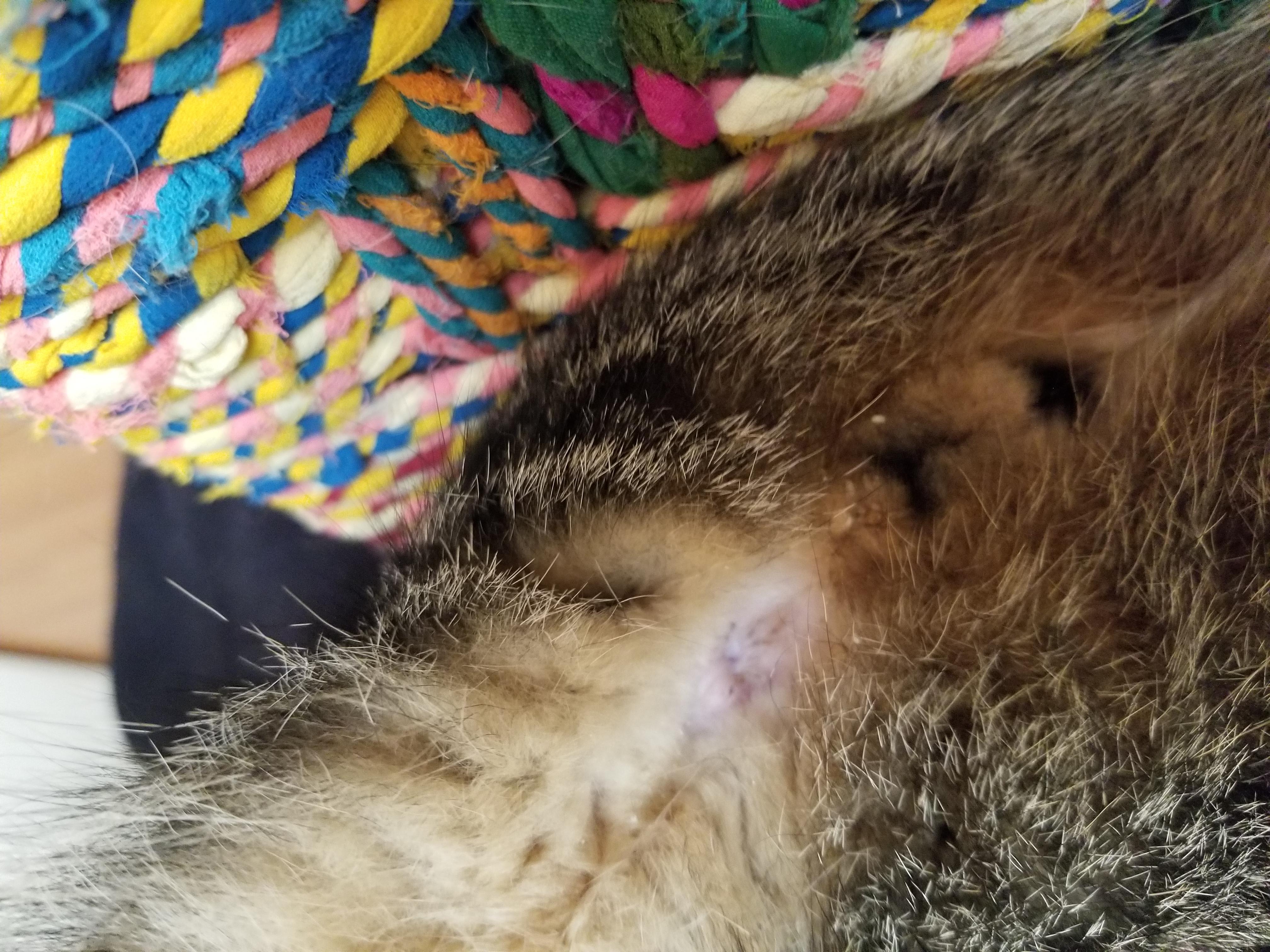 Question details sensitive content