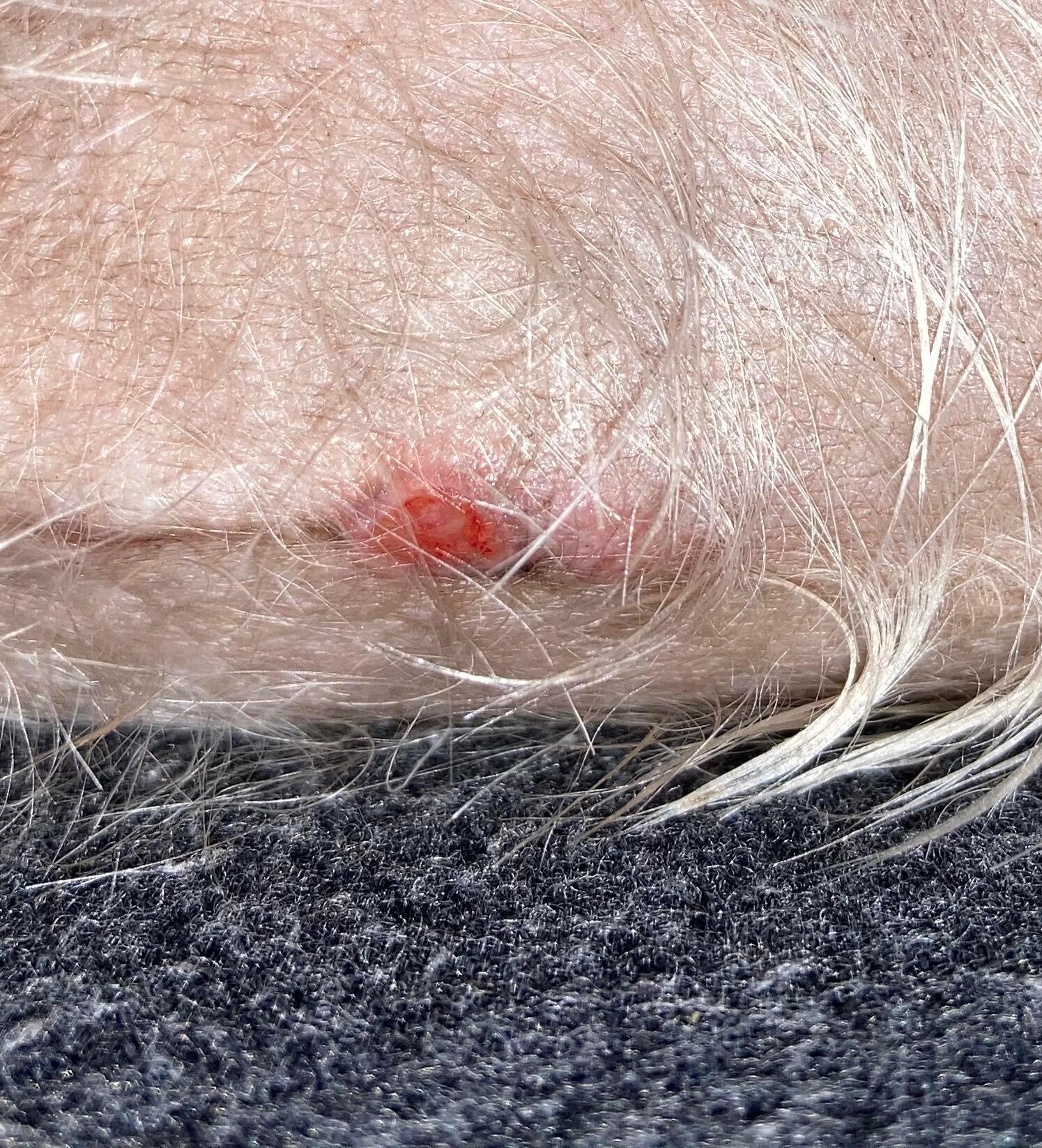 Question details sensitive content