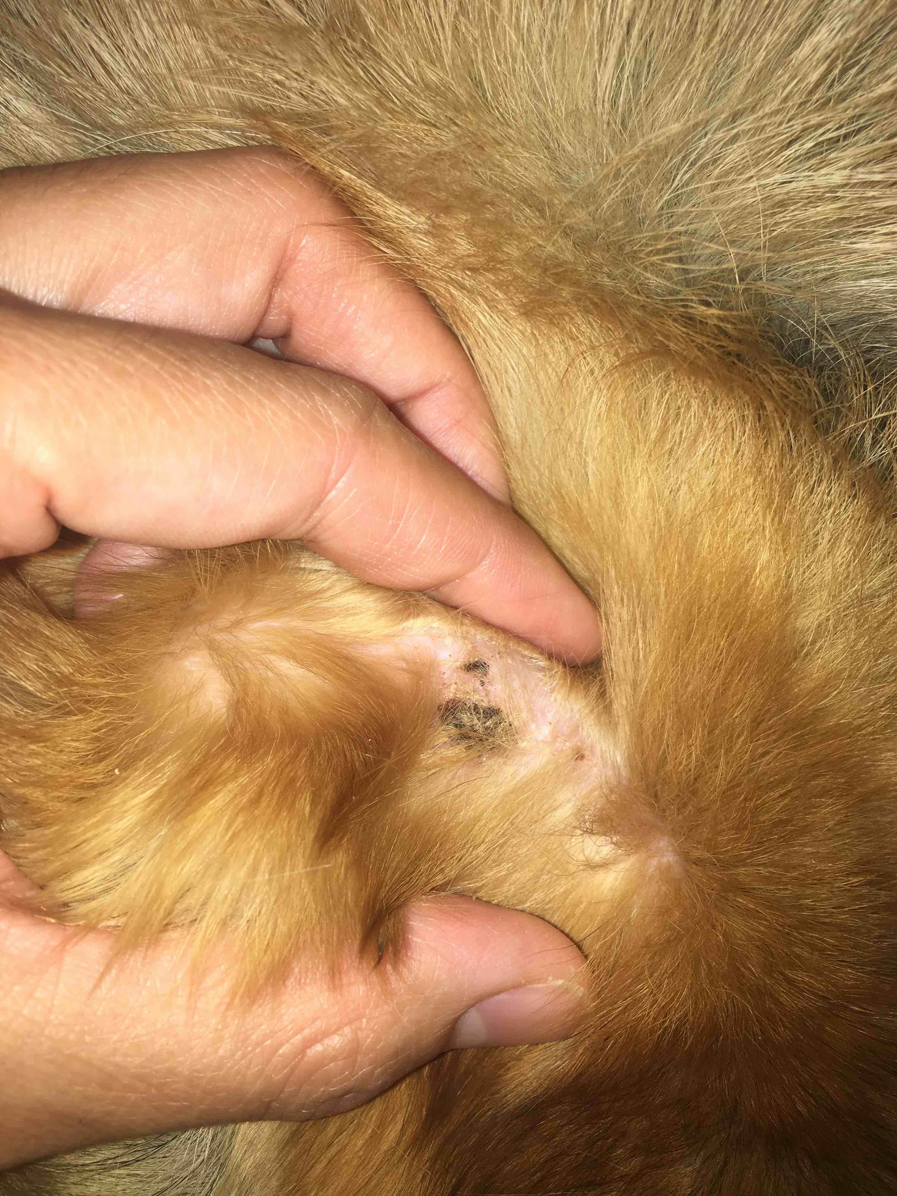 Question details sensitive content