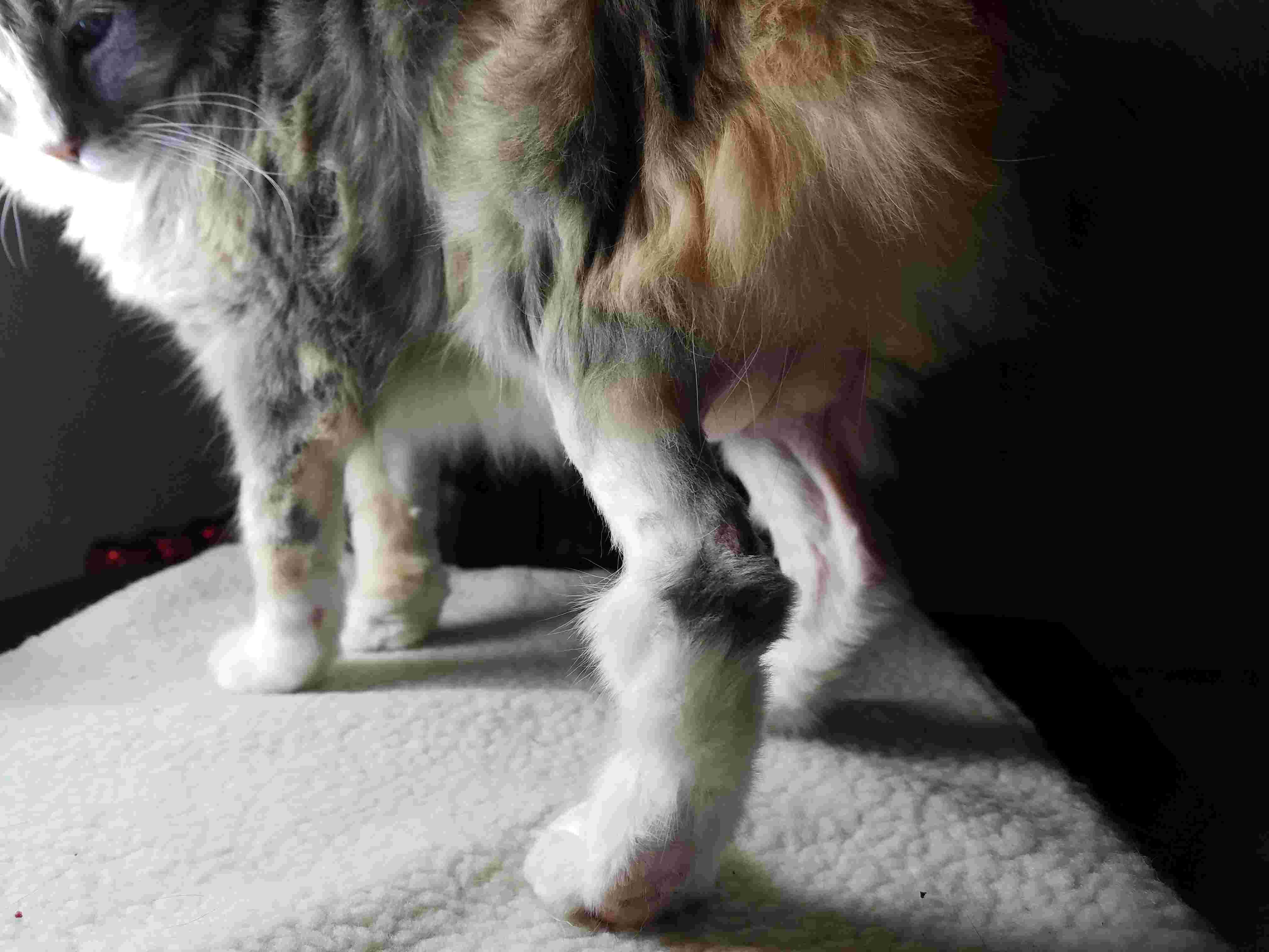 Question details sensitive content