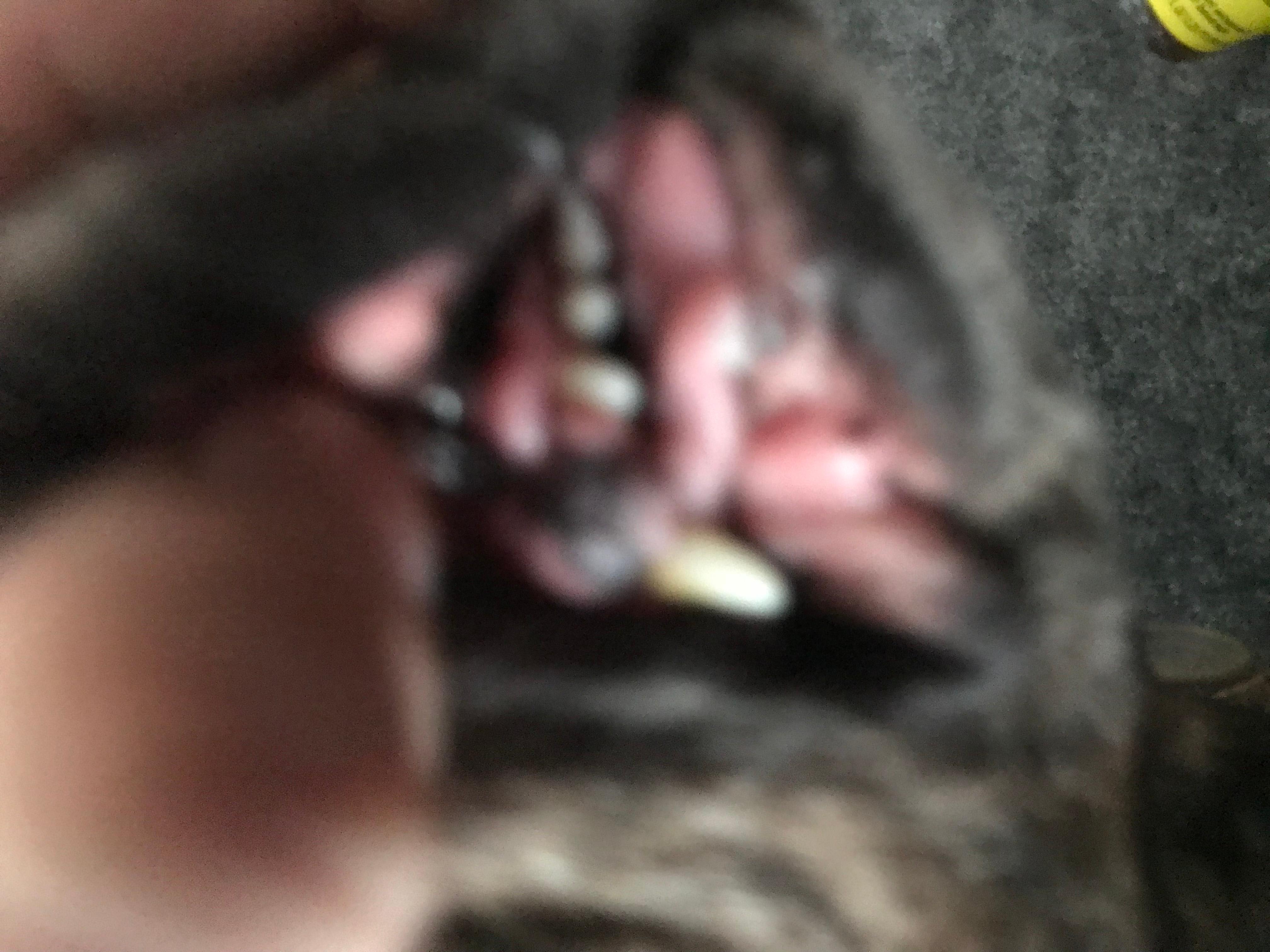 Question details sensitive content