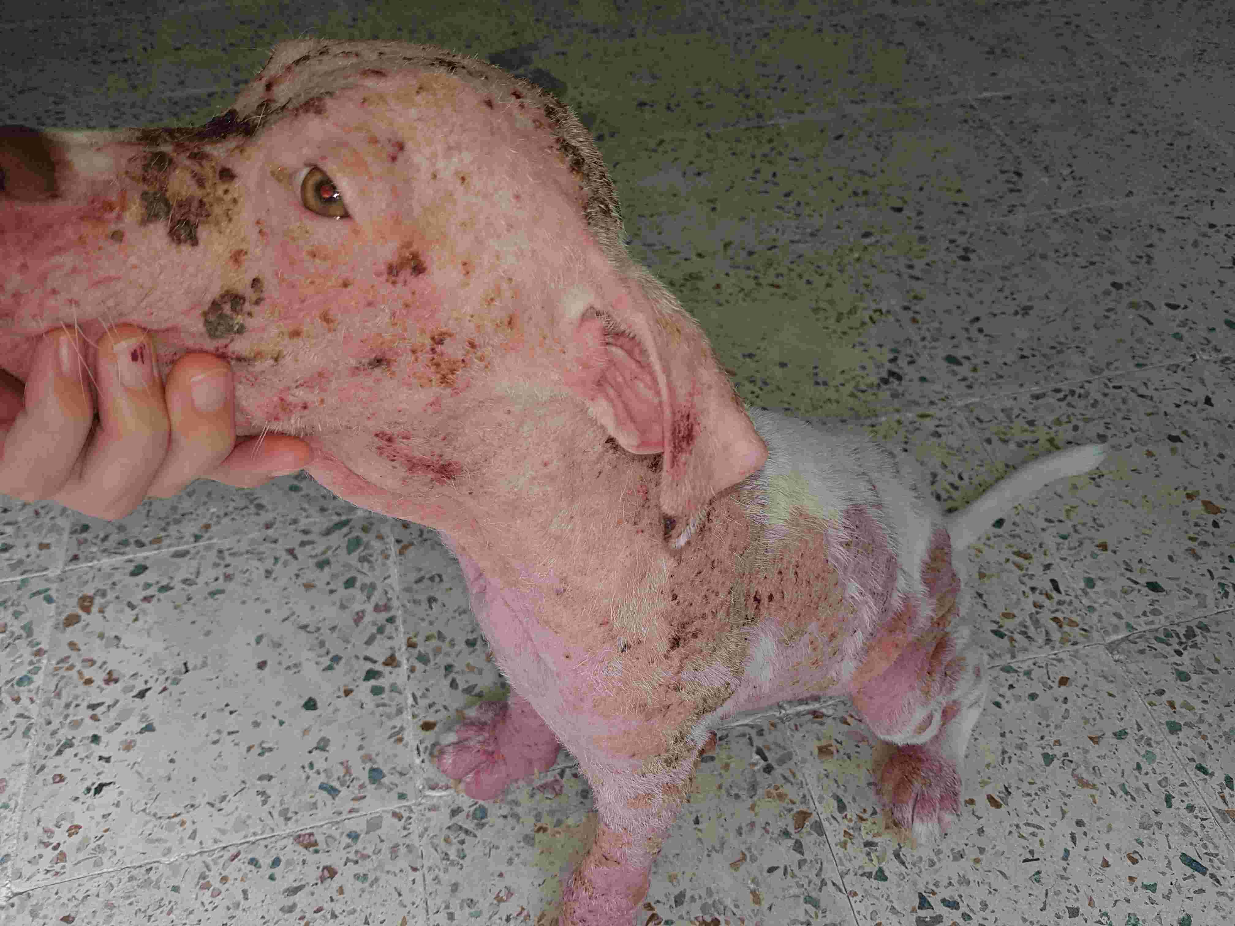 Question details sensitive content