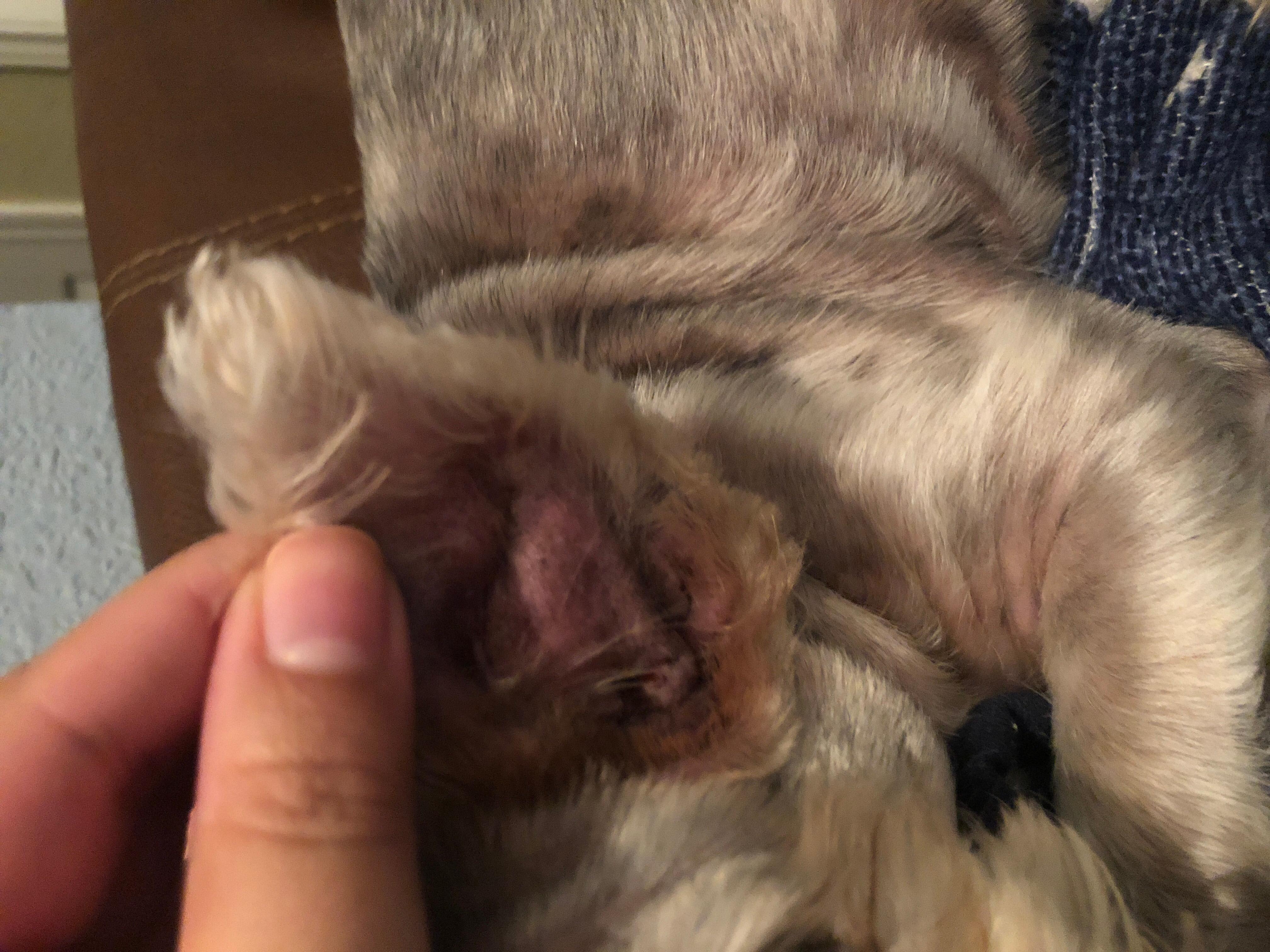 Question details sensitive content