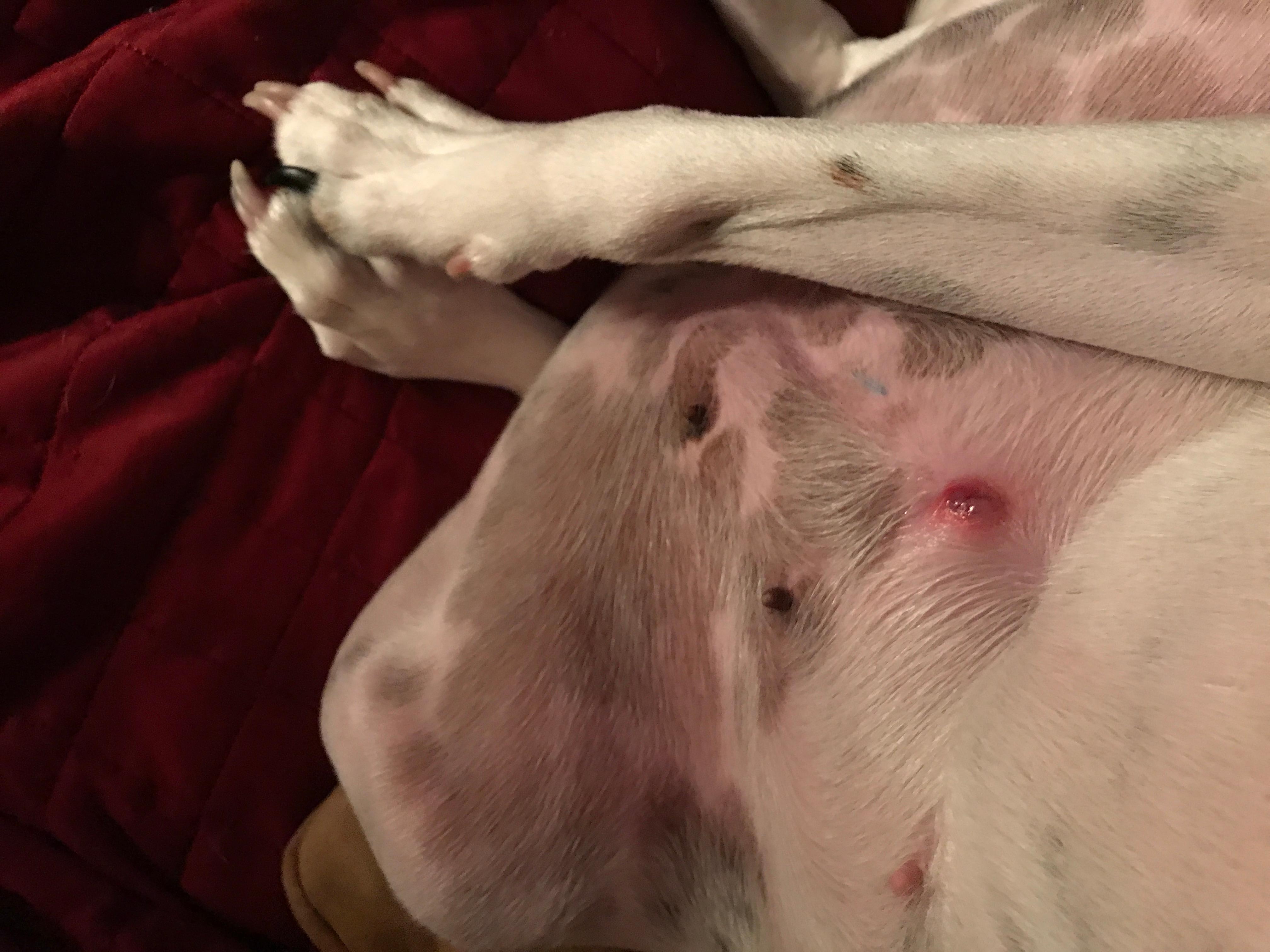 Question details sensitive content