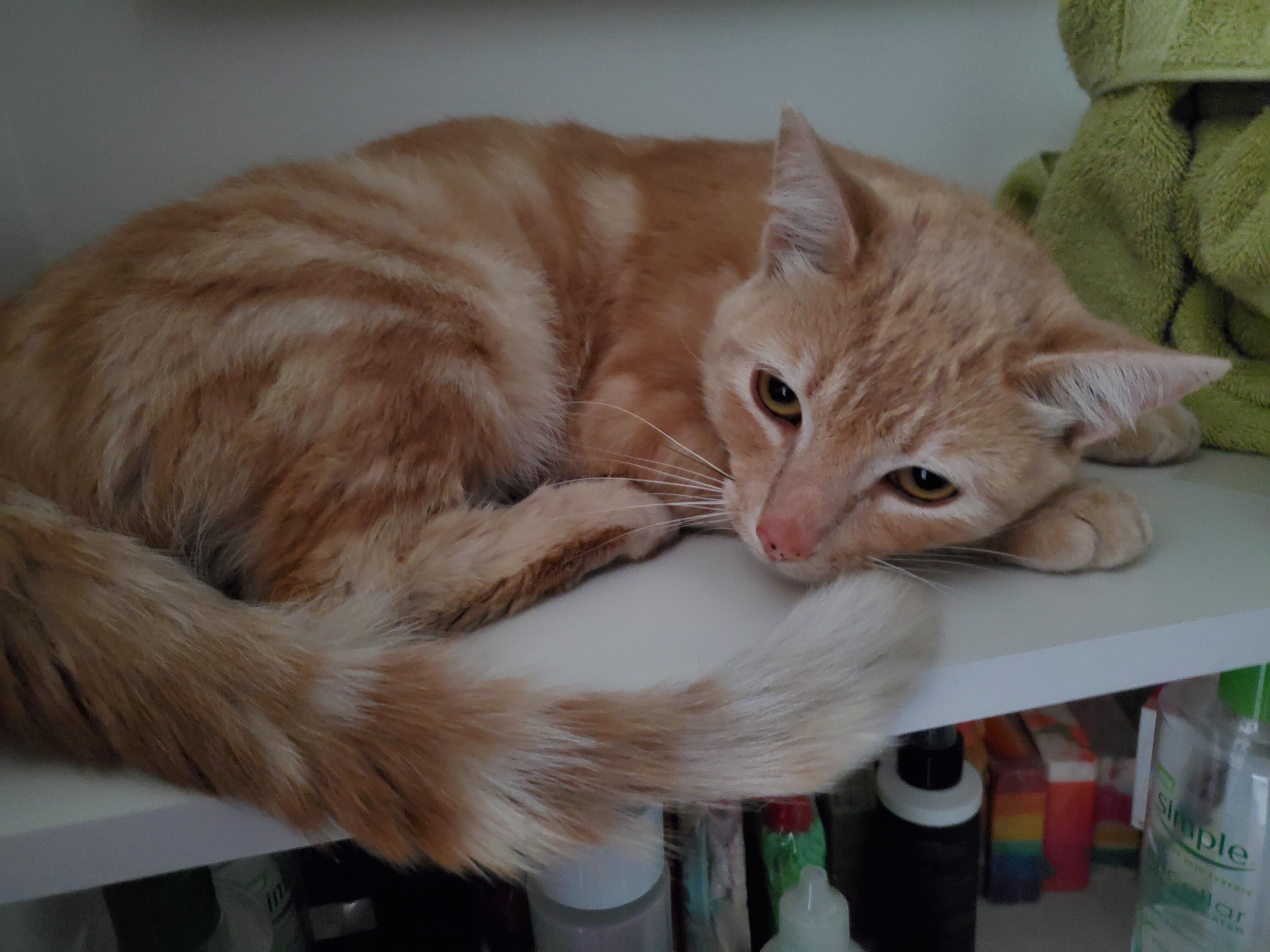 Question details sensitive content